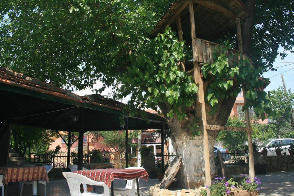 Allgau Hotel