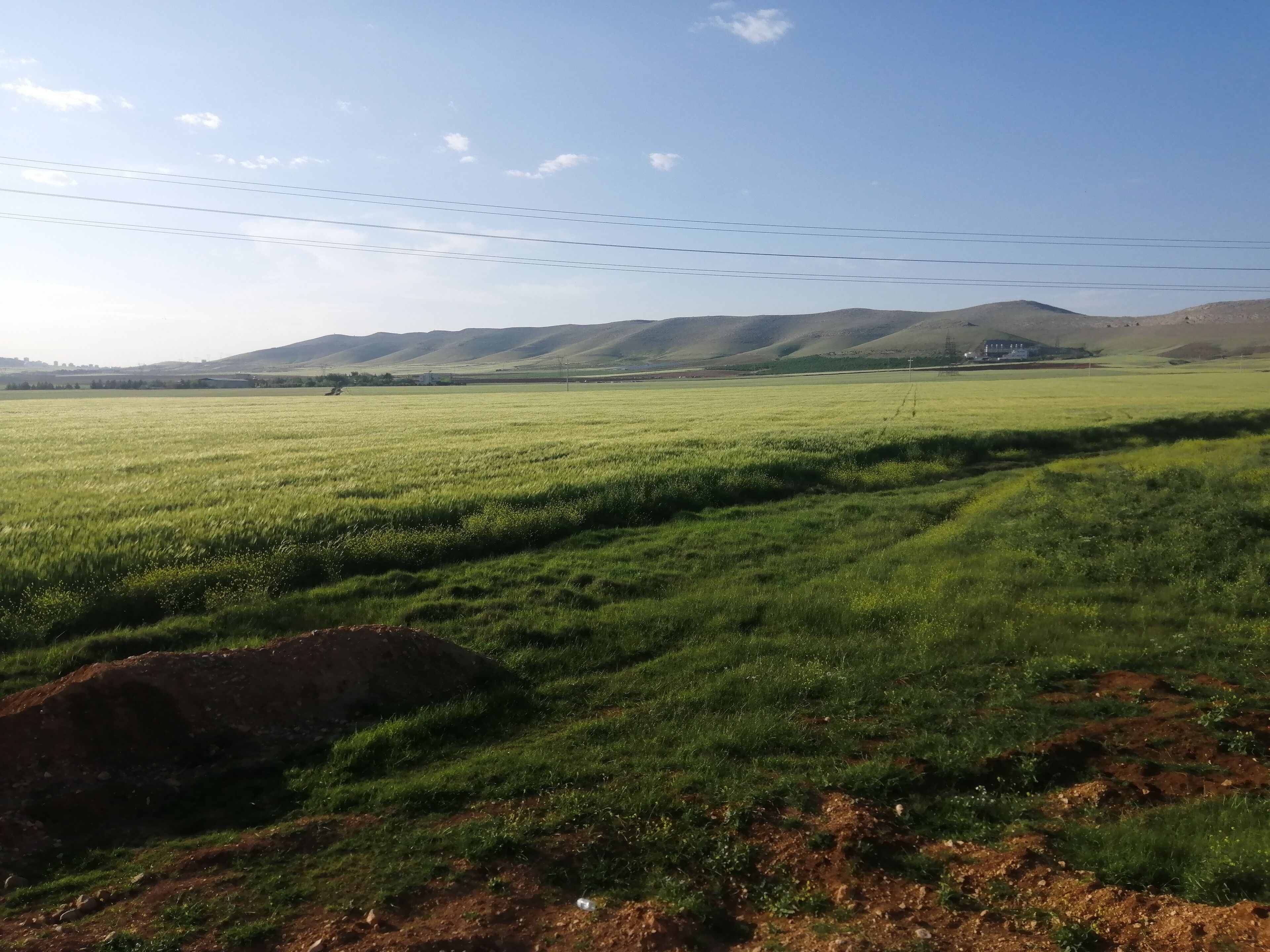 Göbeklitepe Çadir Saray