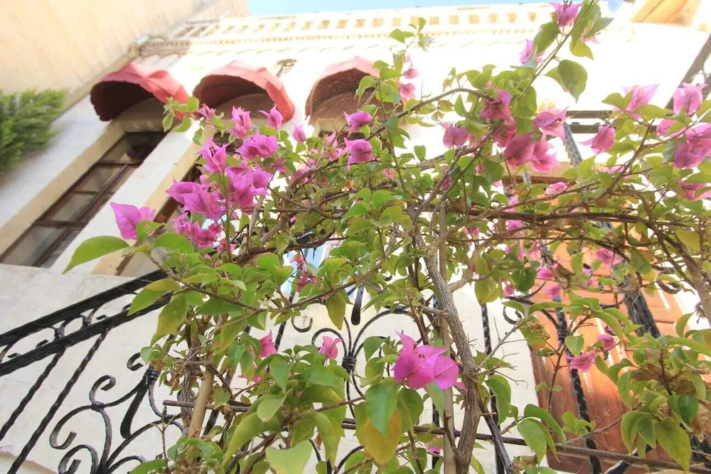 Palmyra Boutique Hotel