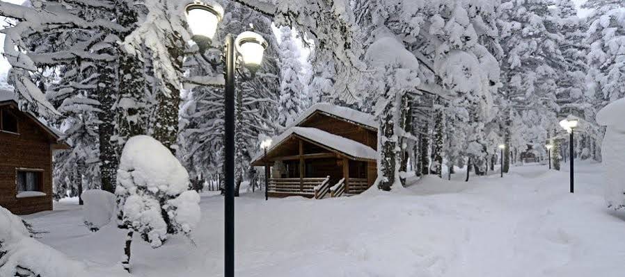 Uludag Orman Koskleri