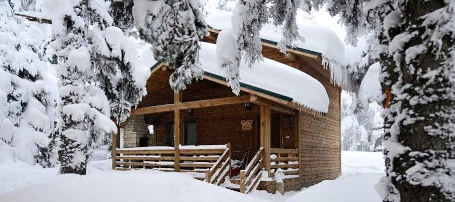 Uludag Orman Koskleri