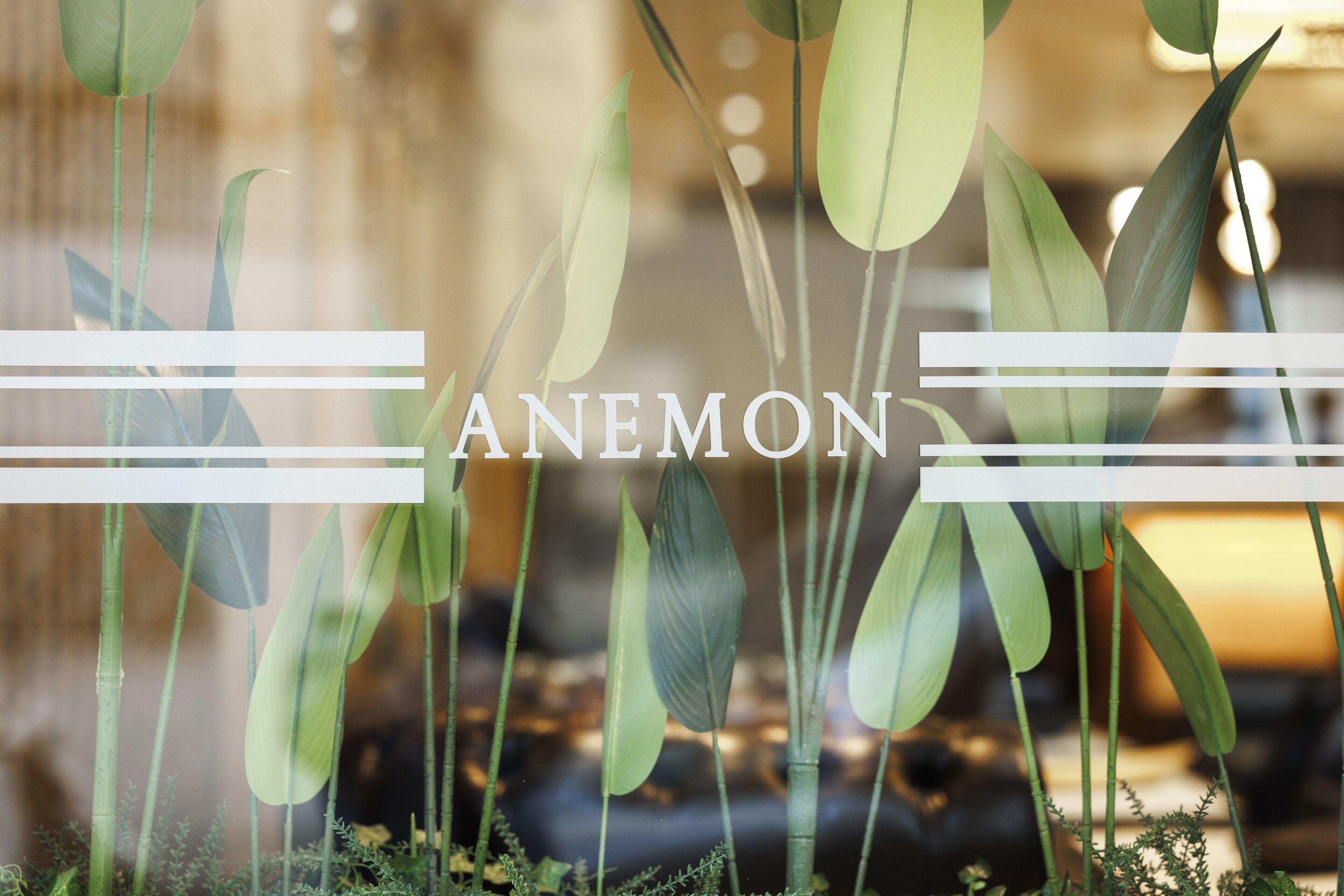 Anemon Usak Hotel