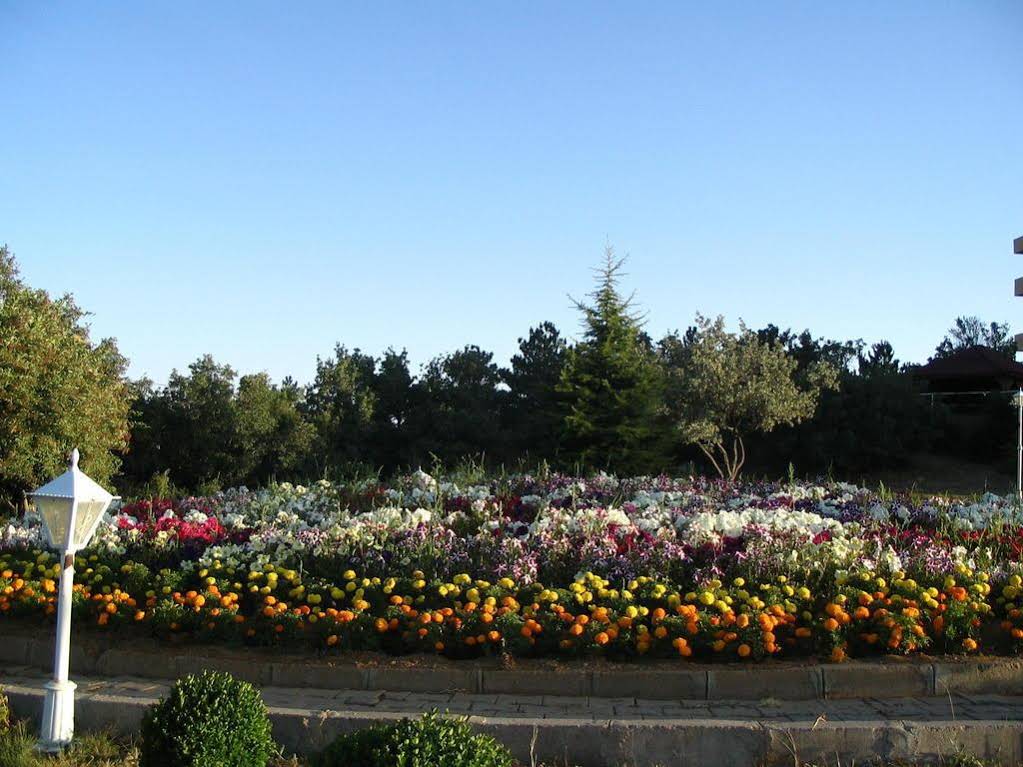 Camlik Hotel