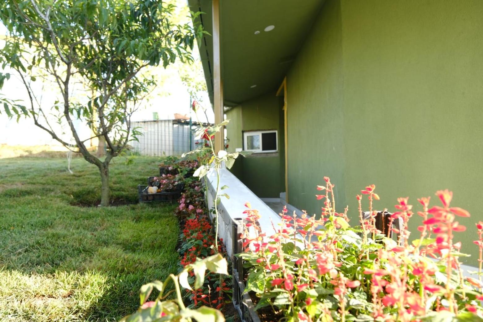 Forest Blue Beach Otel