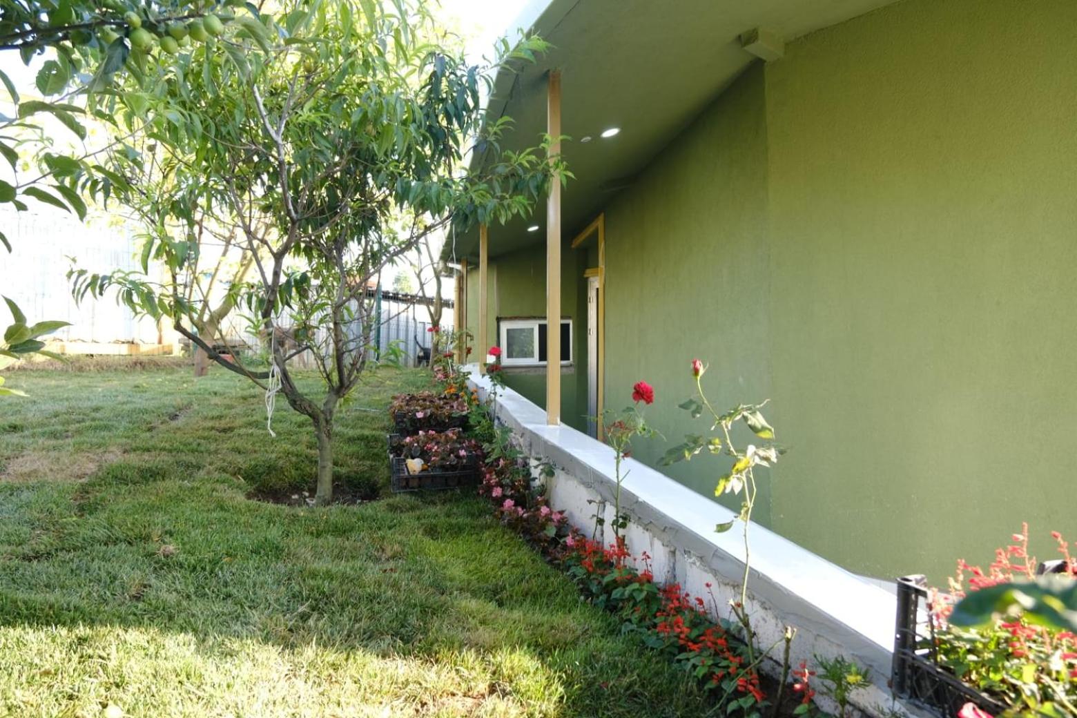 Forest Blue Beach Otel