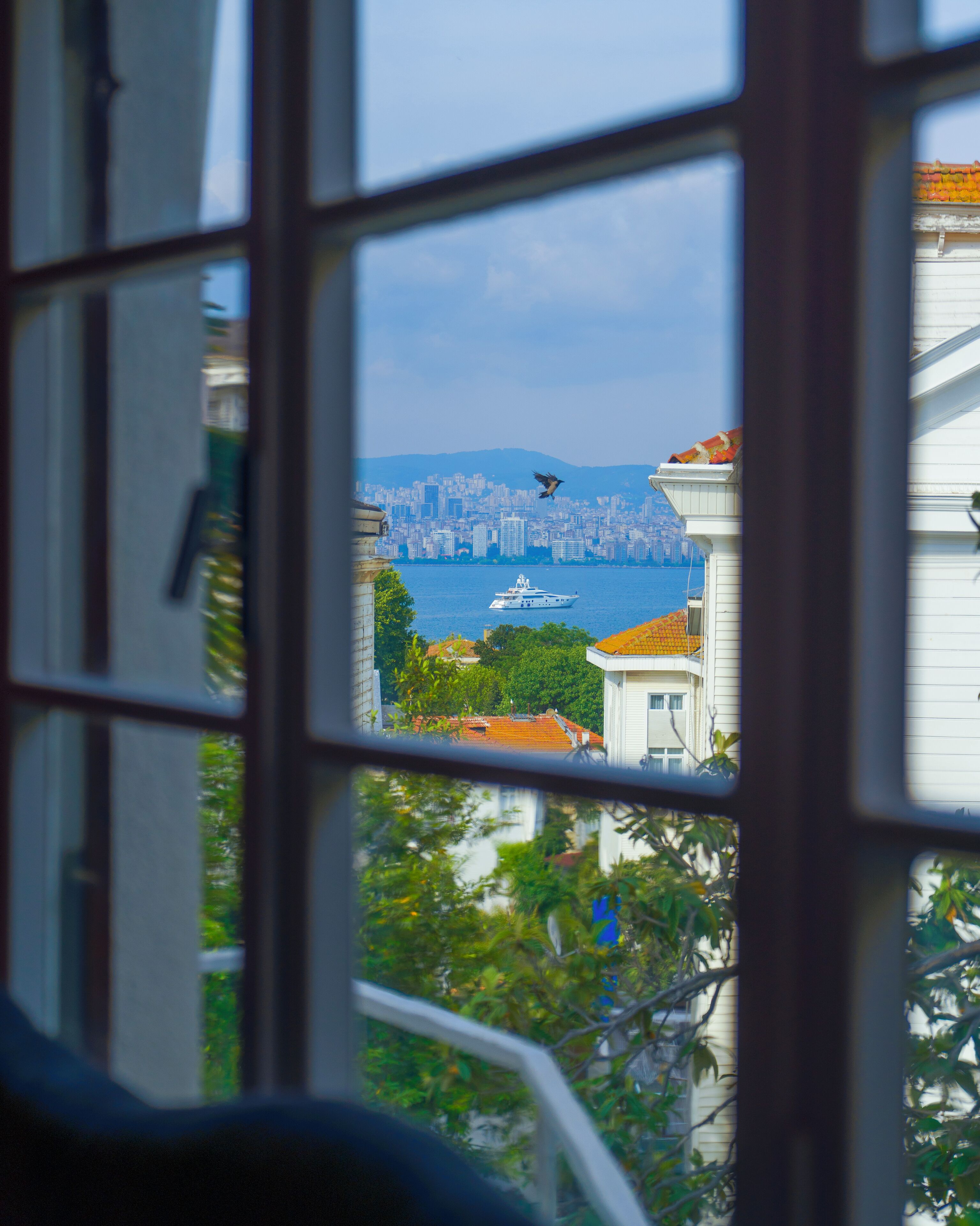 Palm Villa Büyük Ada