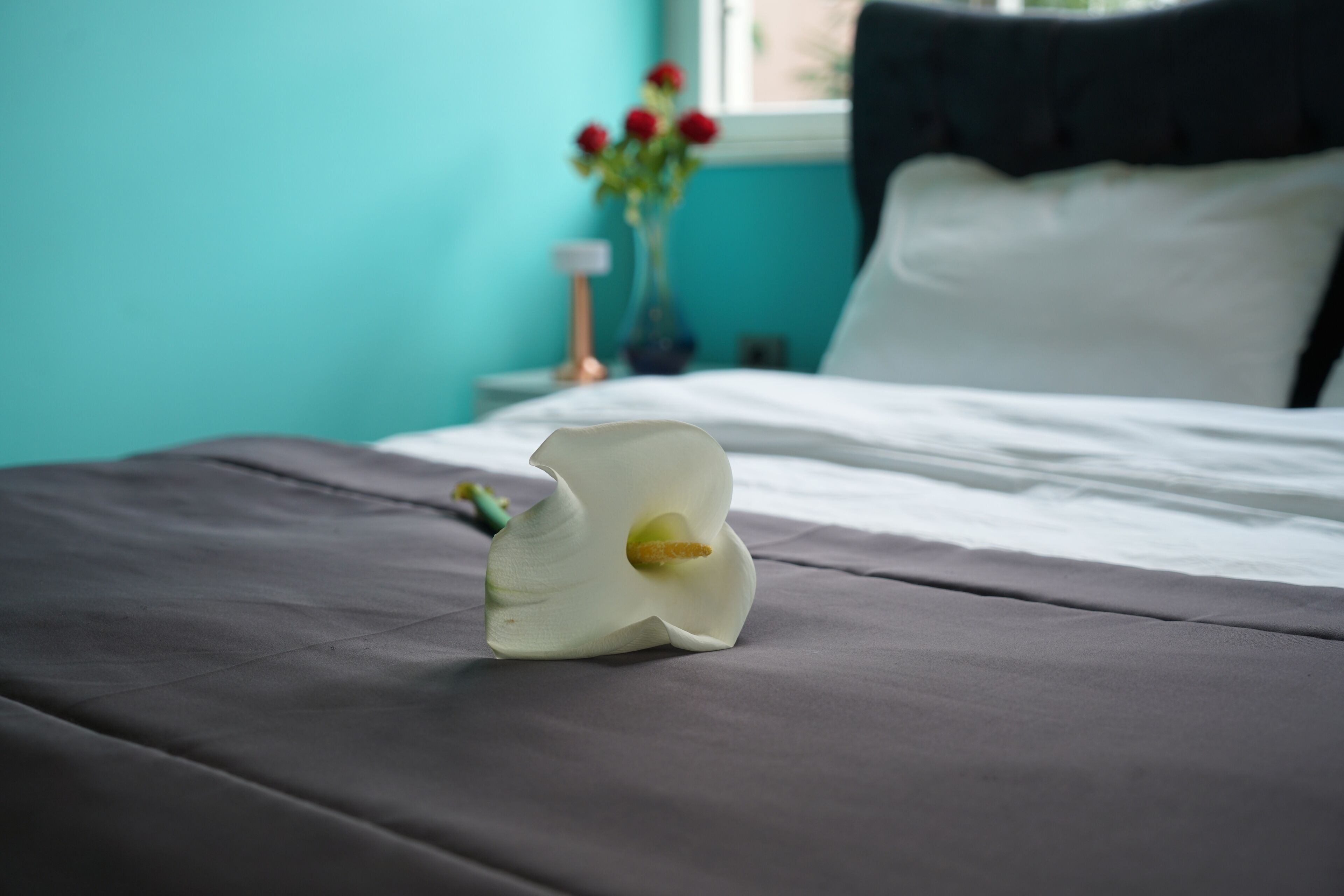 Palm Villa Büyük Ada