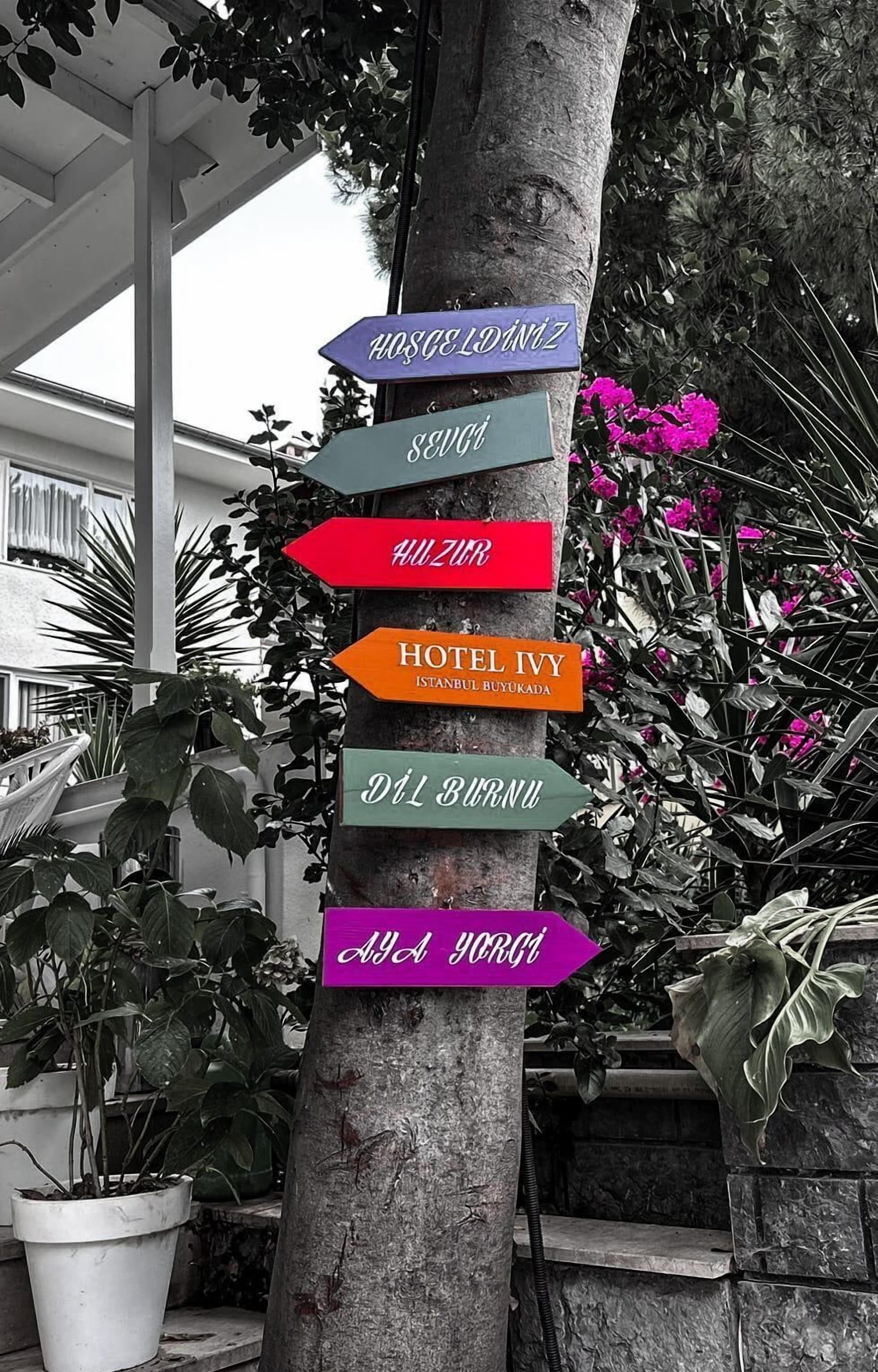 Hi Hotel Ivy Buyukada