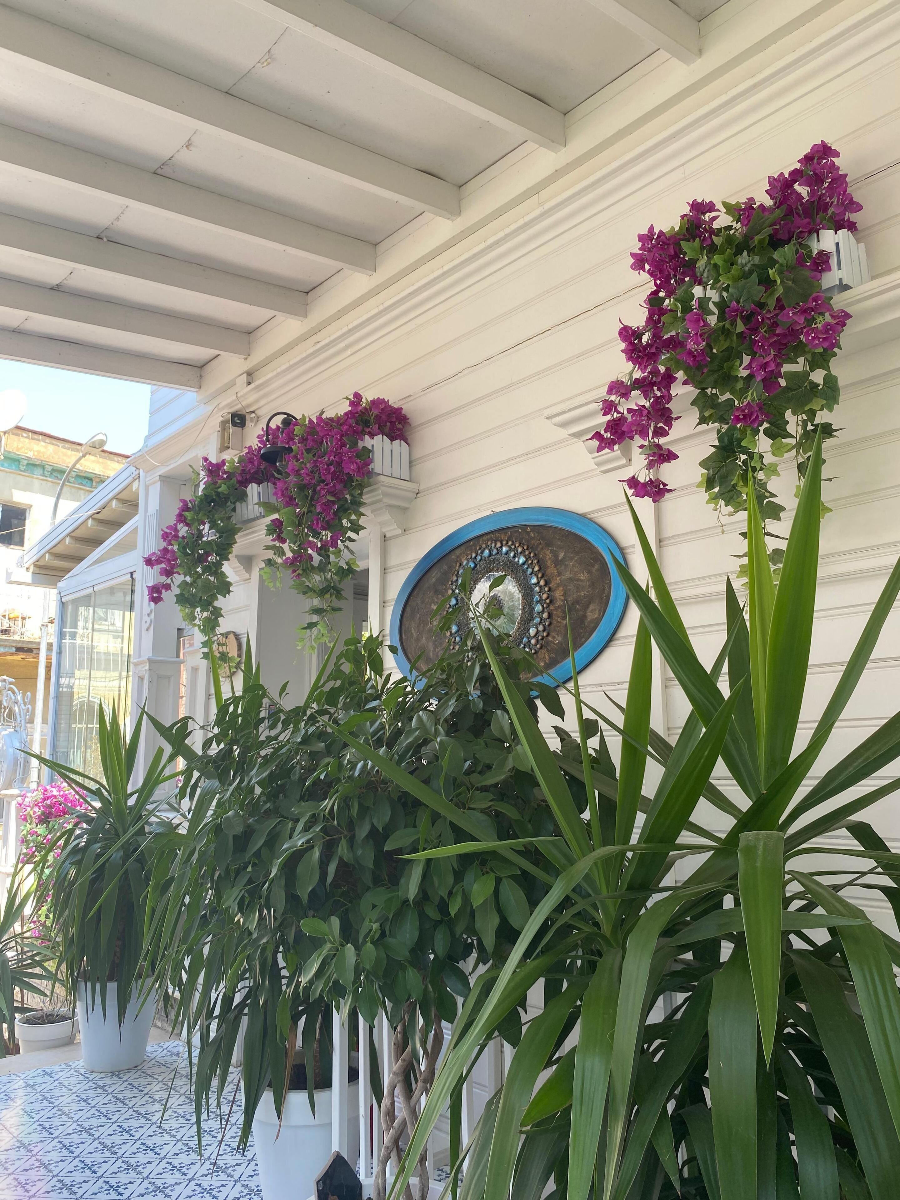 Hi Hotel Ivy Buyukada