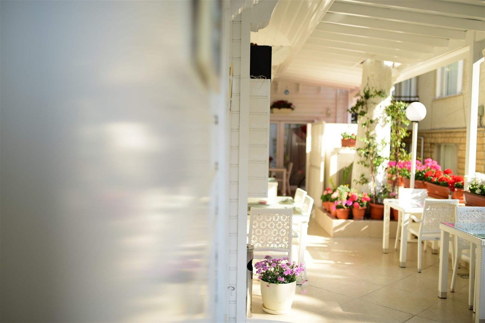 Hi Hotel Ivy Buyukada