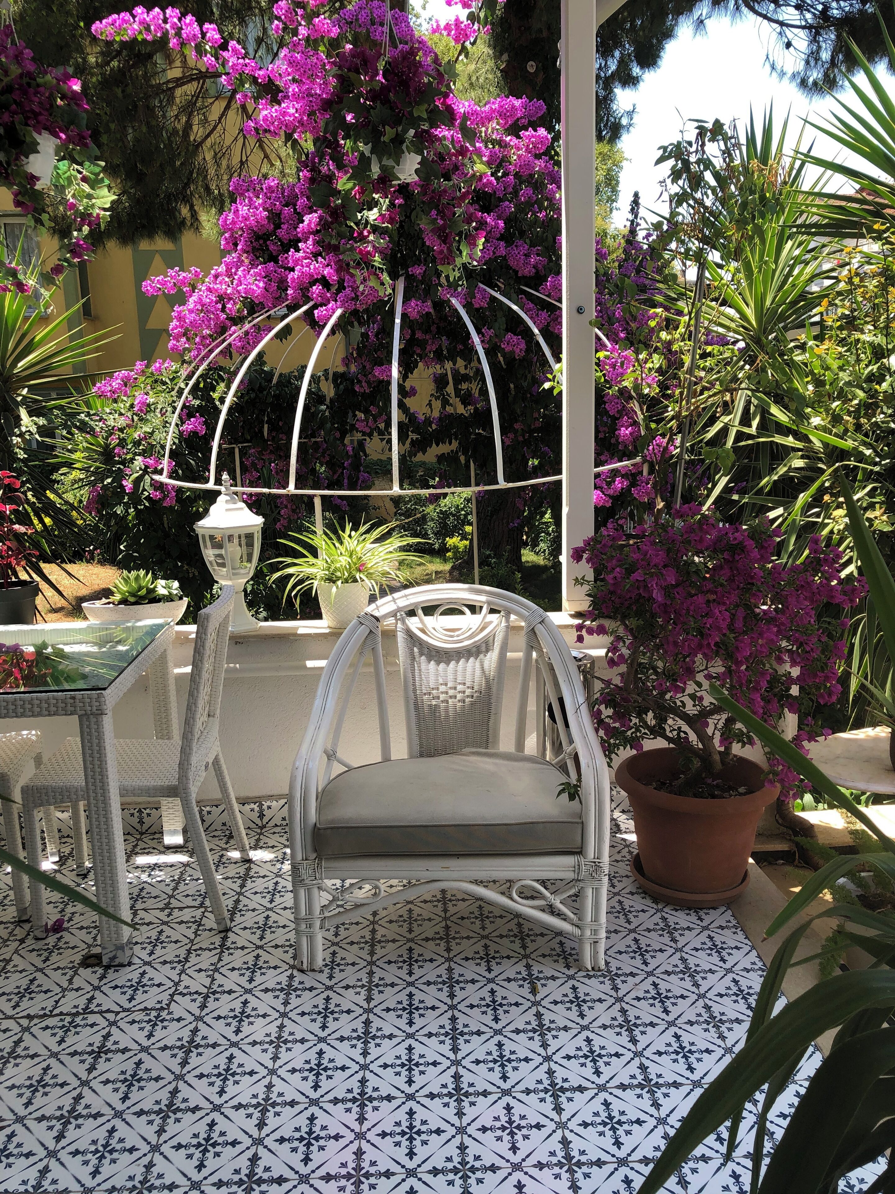 Hi Hotel Ivy Buyukada