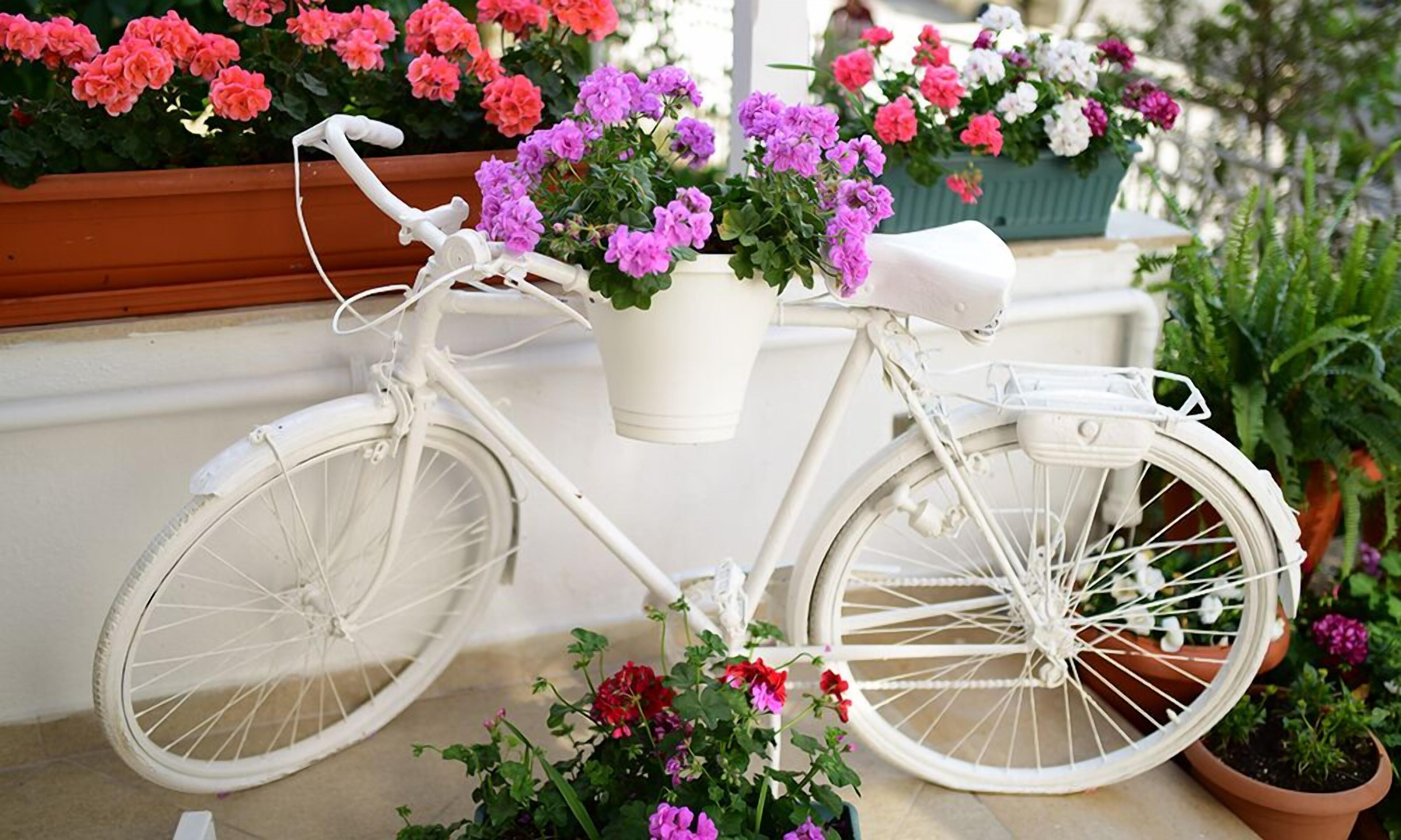 Hi Hotel Ivy Buyukada