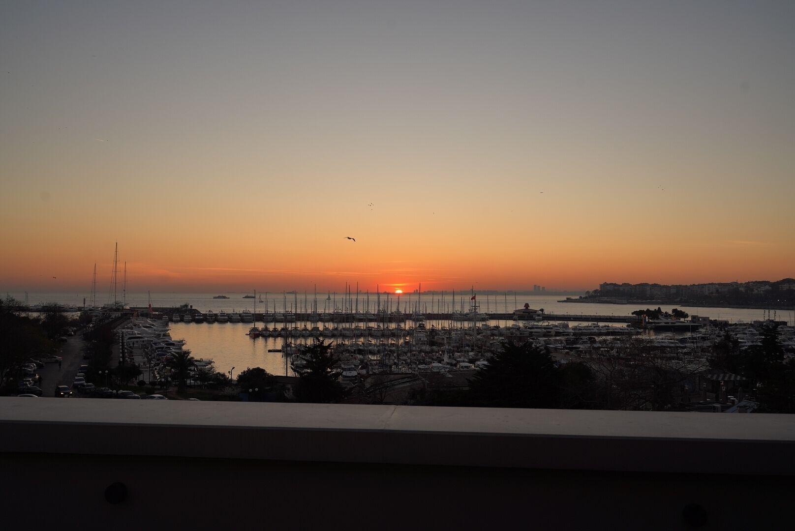 39 Kalamis Marina Hotel