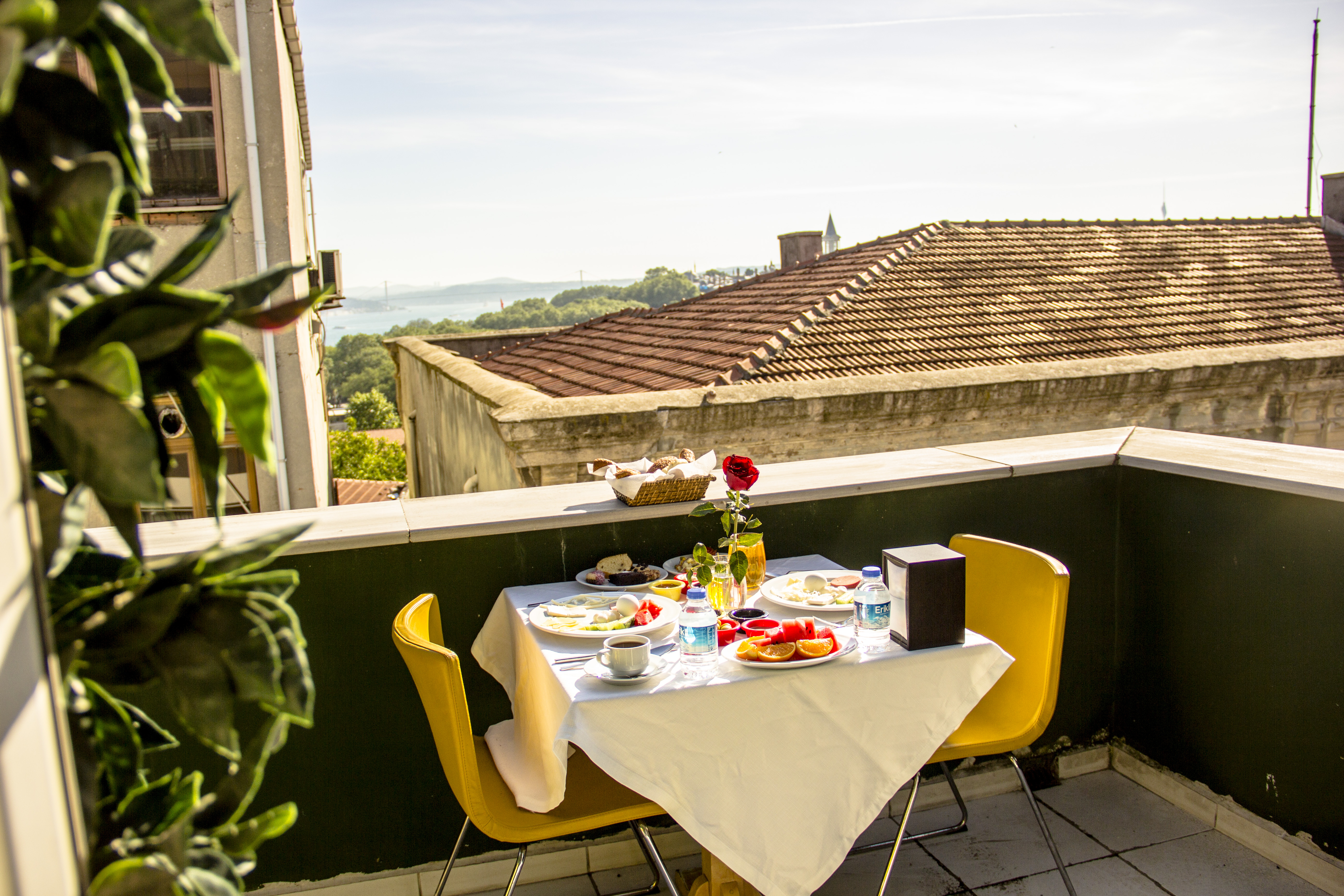 Albatros Hagia Sophia