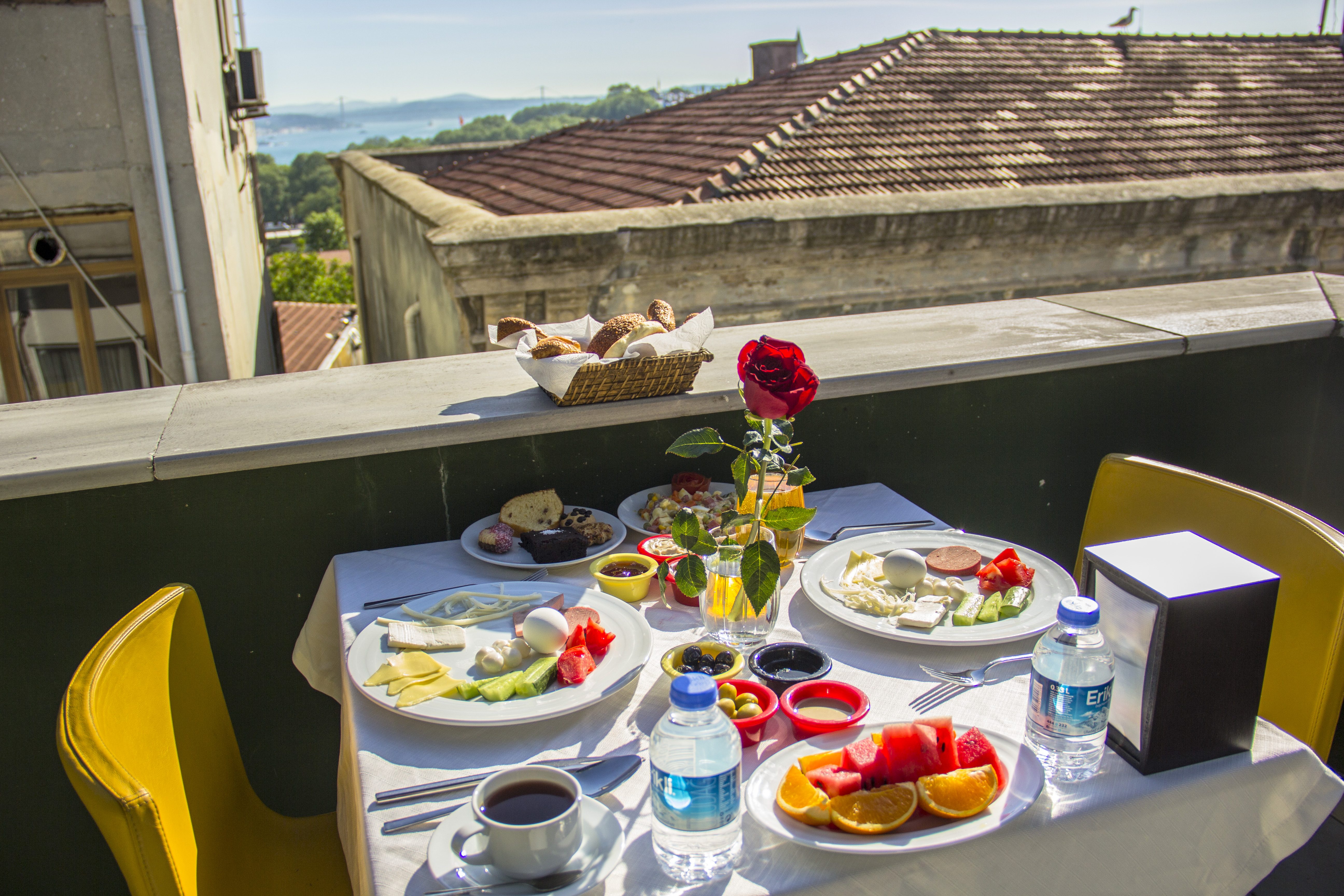 Albatros Hagia Sophia