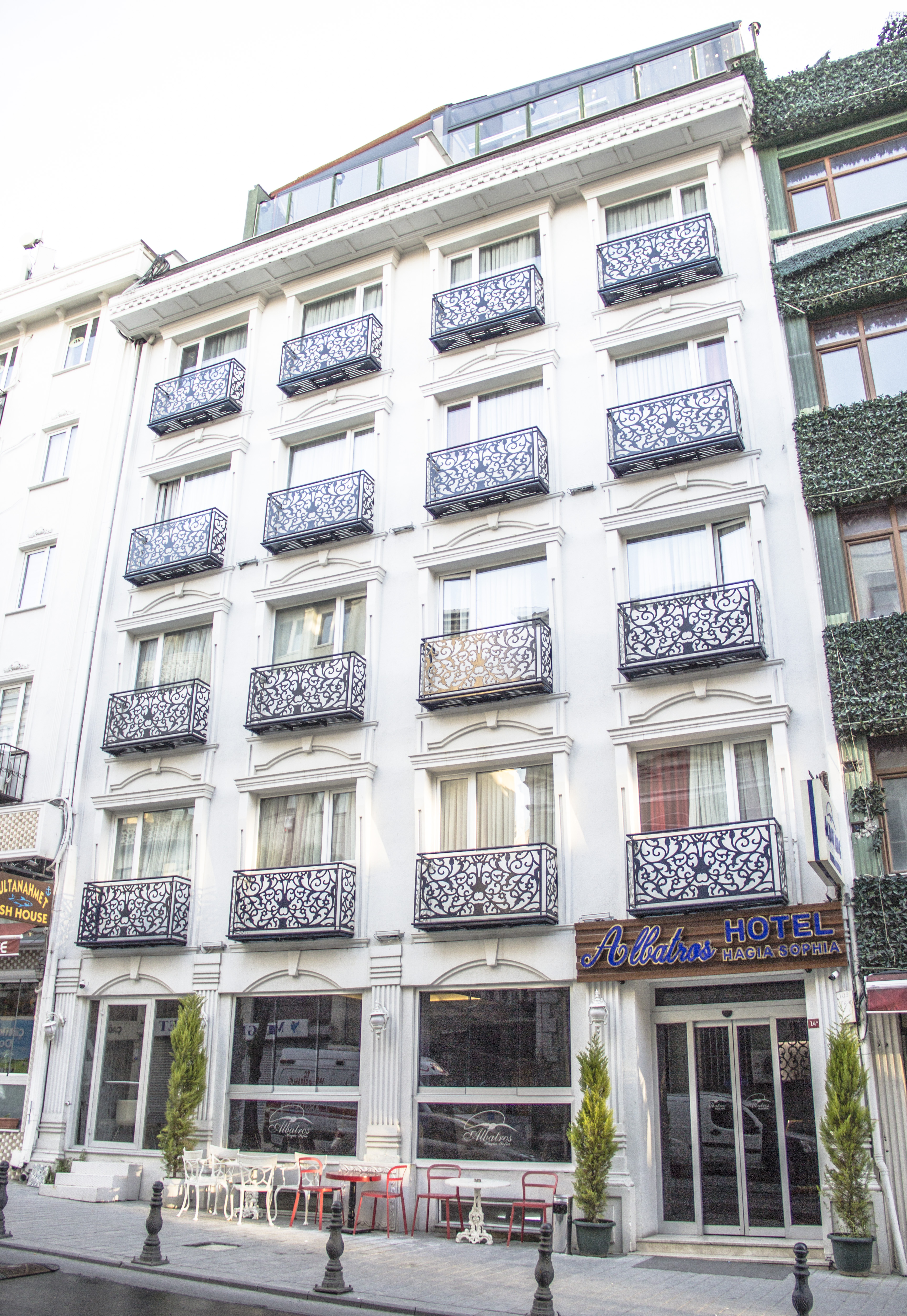 Albatros Hagia Sophia