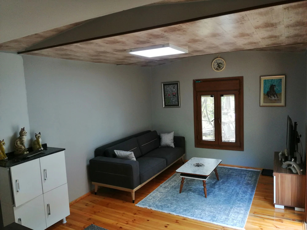 Antik River House