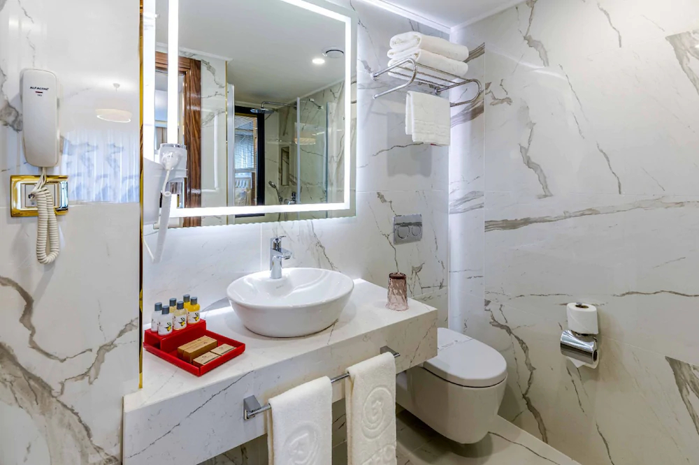 Beethoven Senfoni Hotel