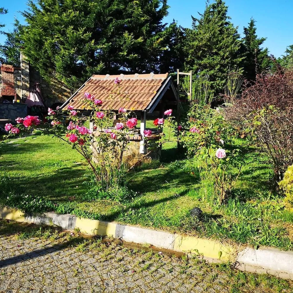 Haznedar Bungalow Hotel