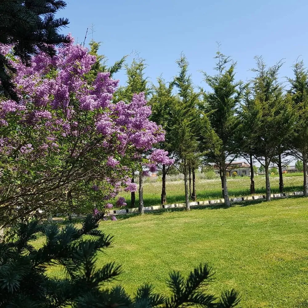 Haznedar Bungalow Hotel