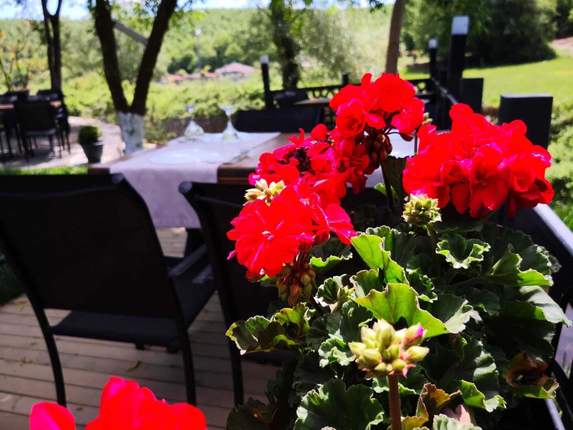 HBS Boutique Hotel  Garden & Restaurant