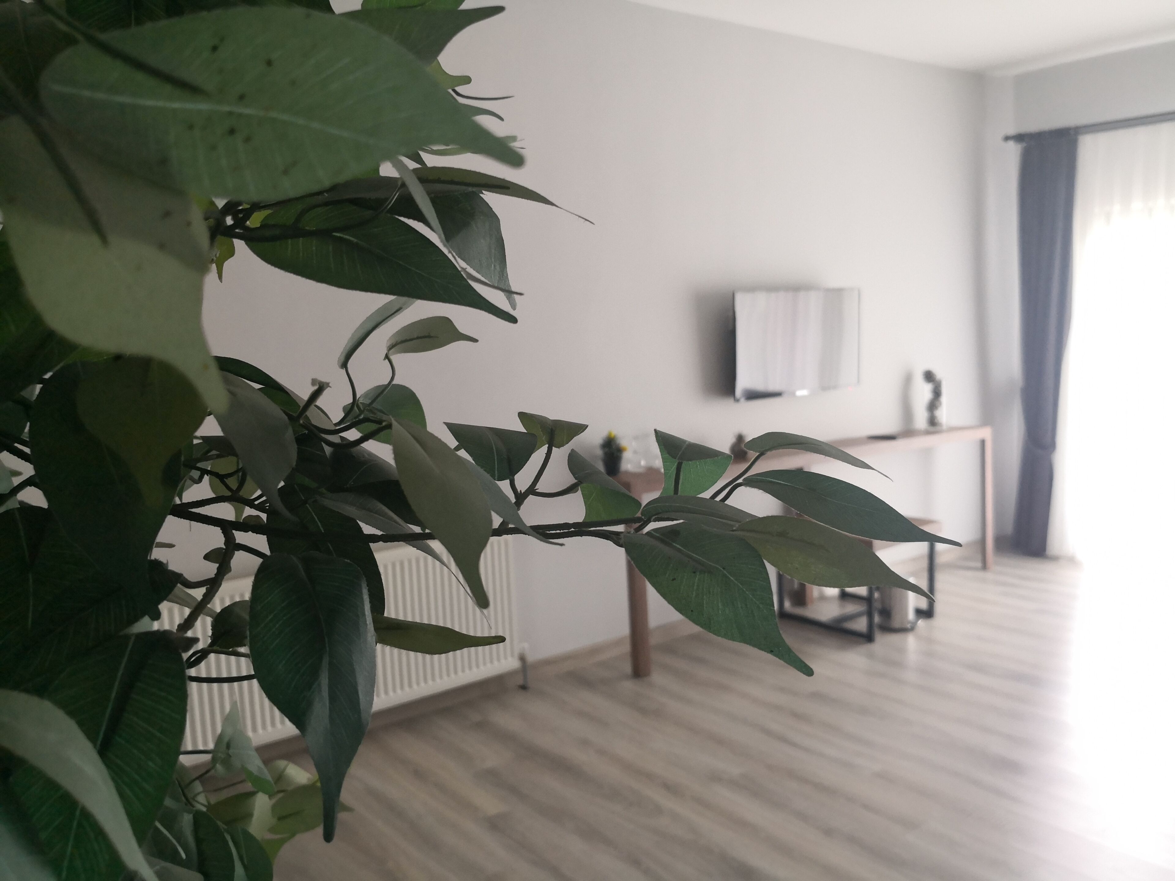 HBS Boutique Hotel  Garden & Restaurant