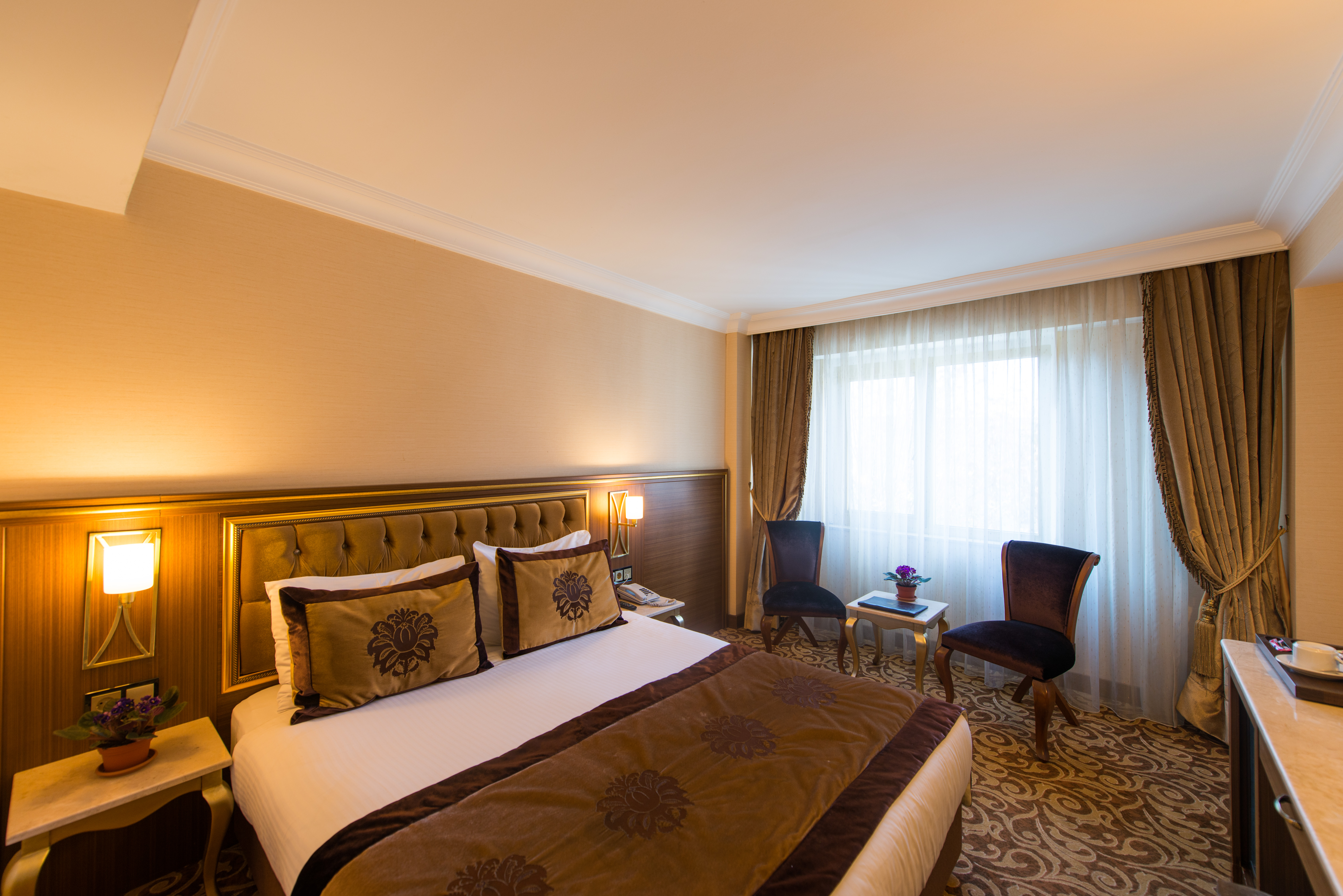 Hotel Antea