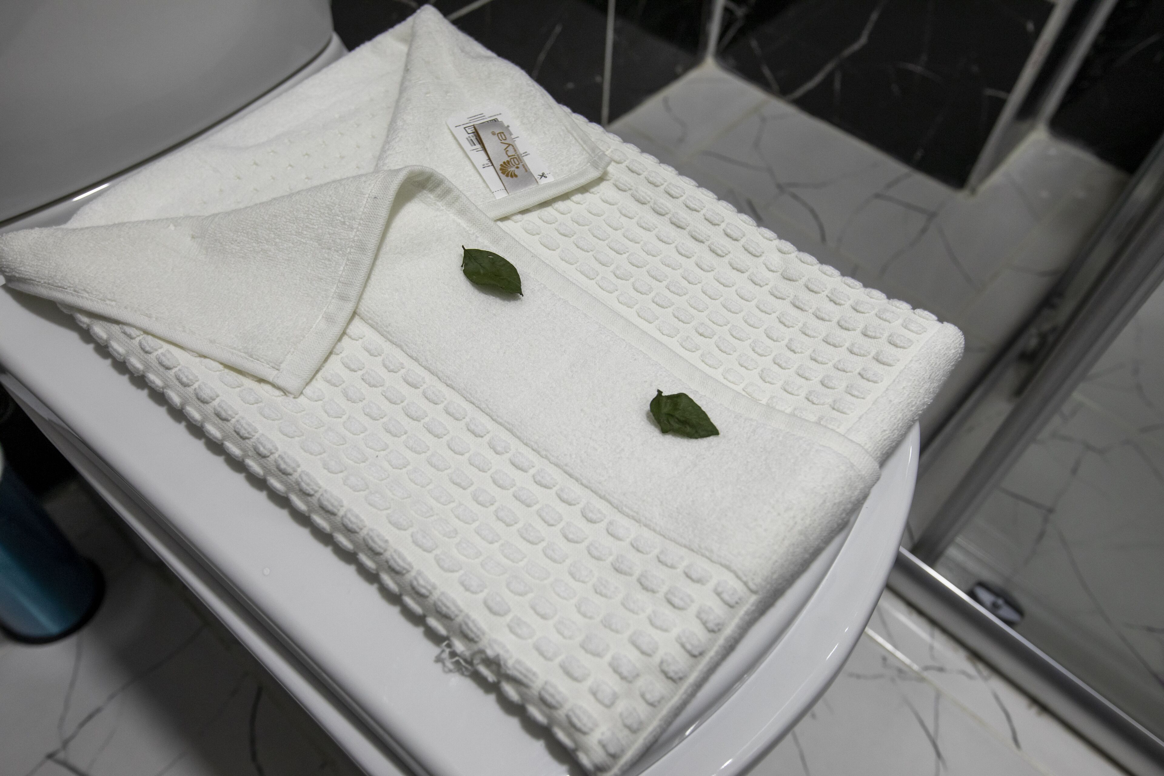 Hotel Mount Ararat