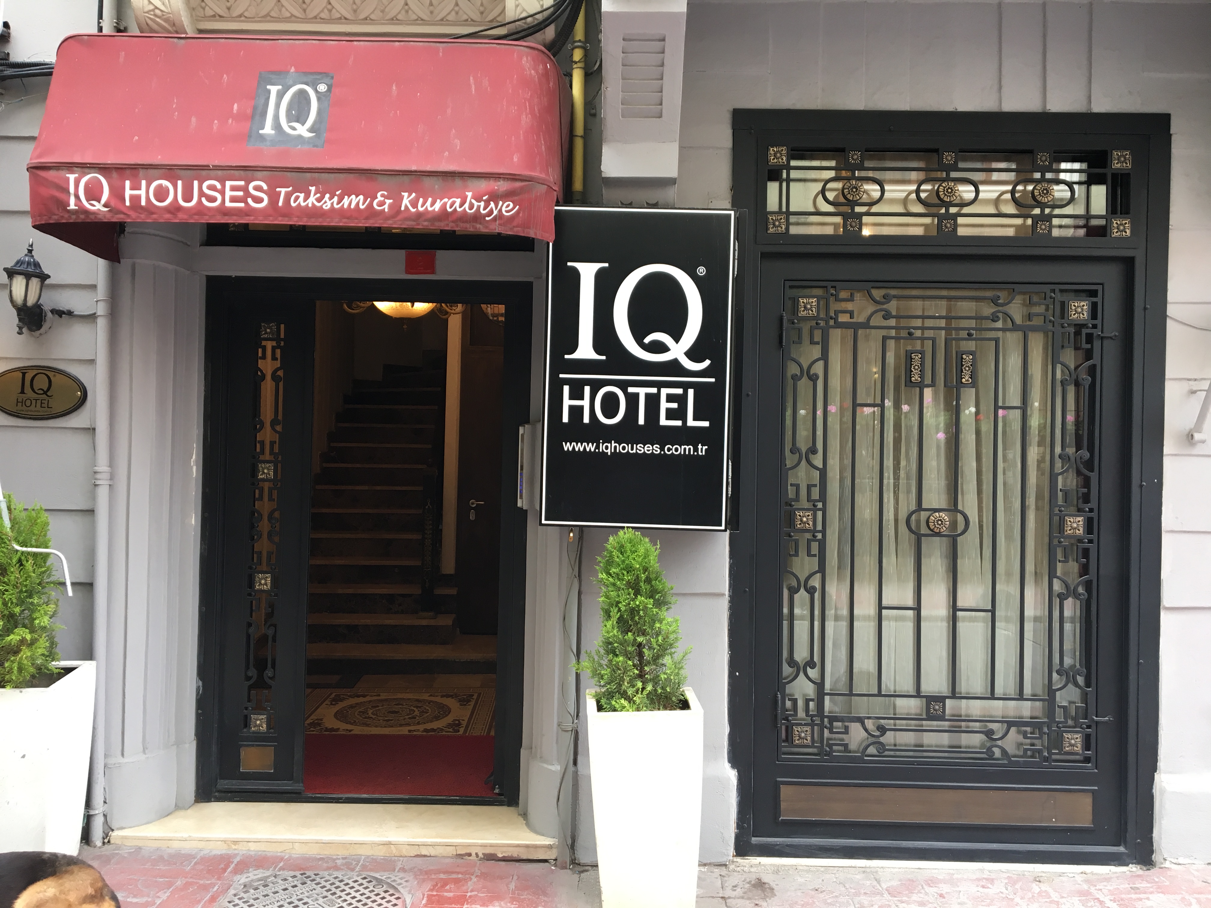 IQ Houses Kurabiye