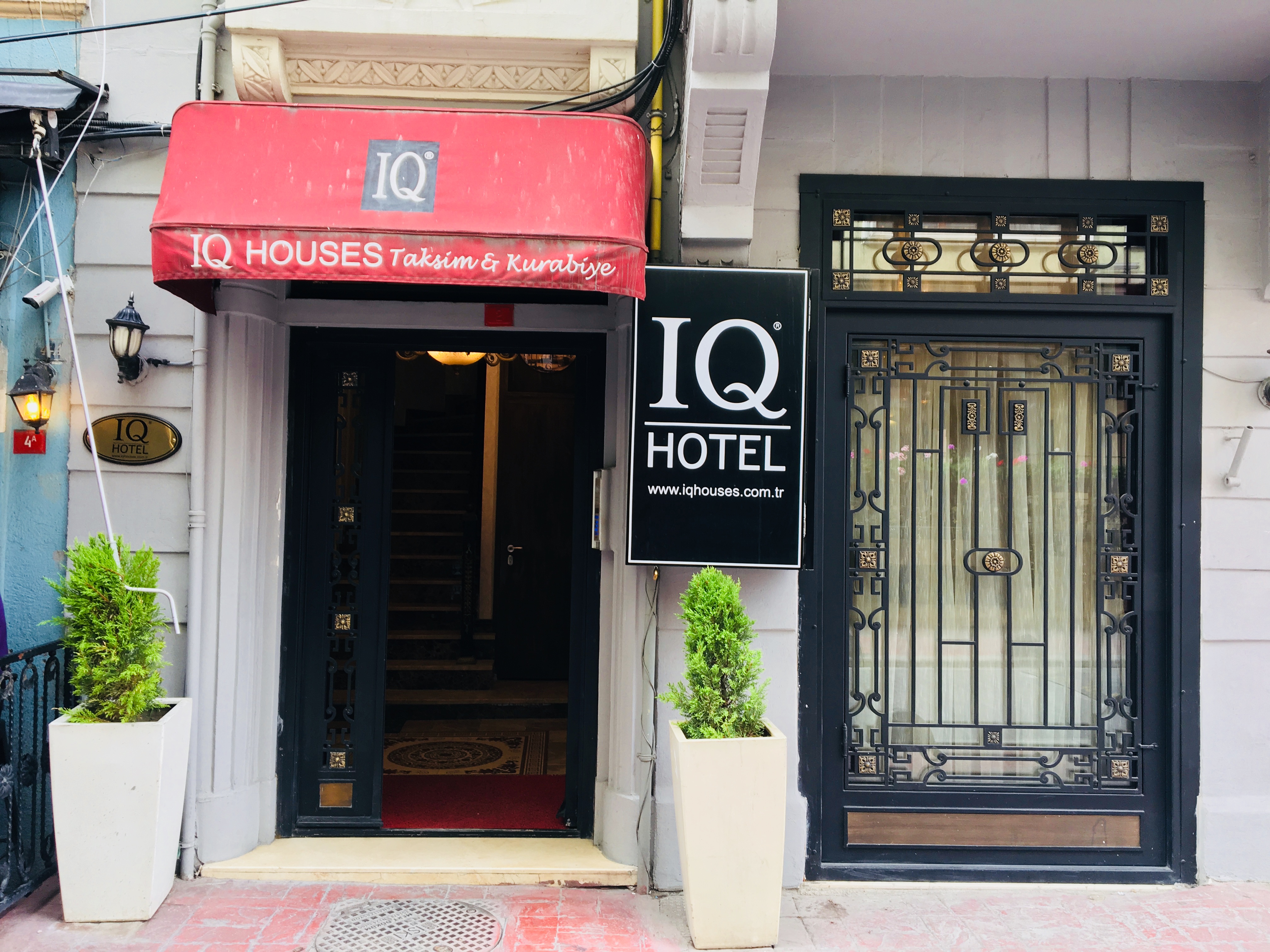 IQ Houses Kurabiye