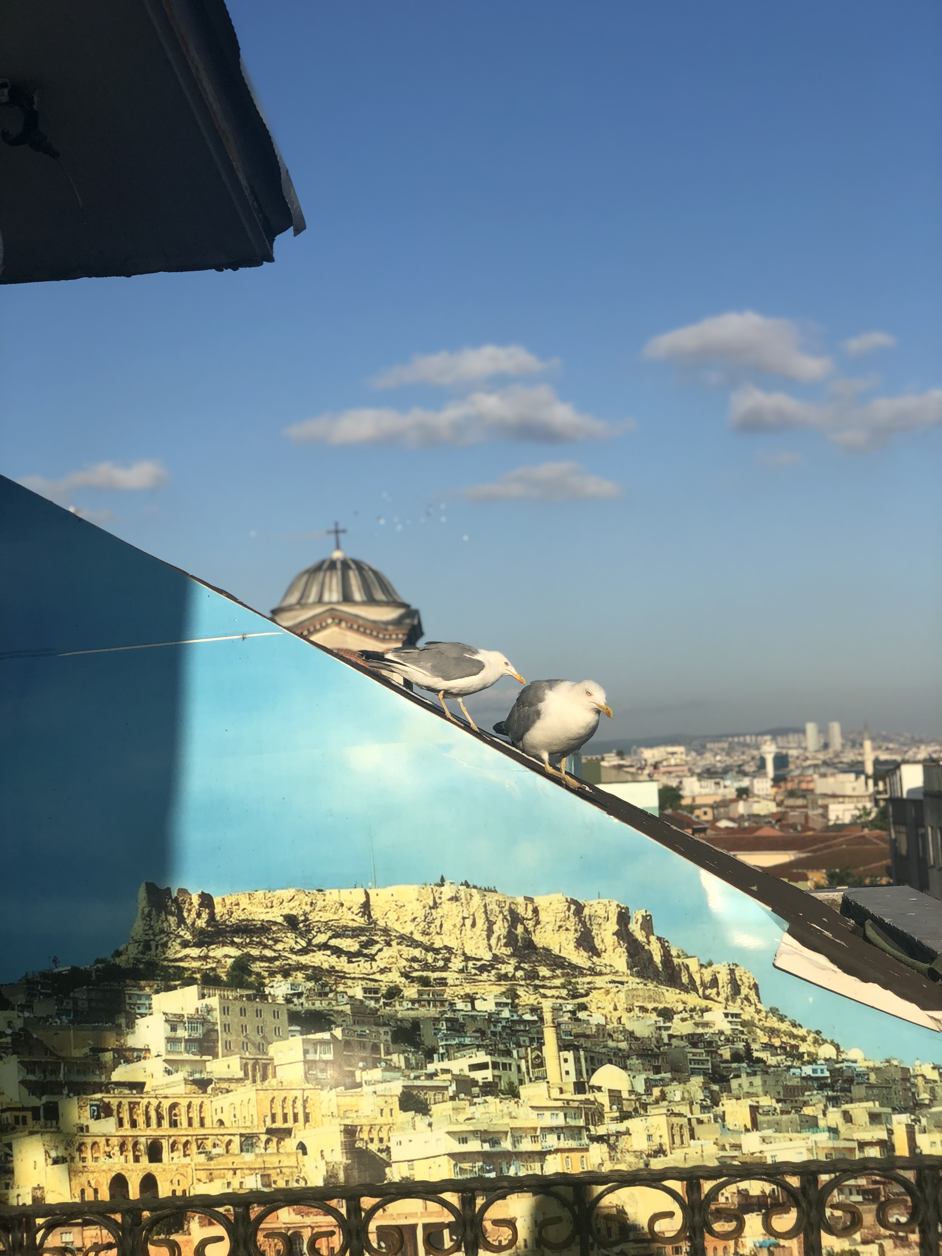 Nova City Hotel