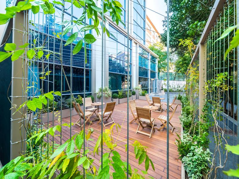 Molton Monapart Mecidiyekoy