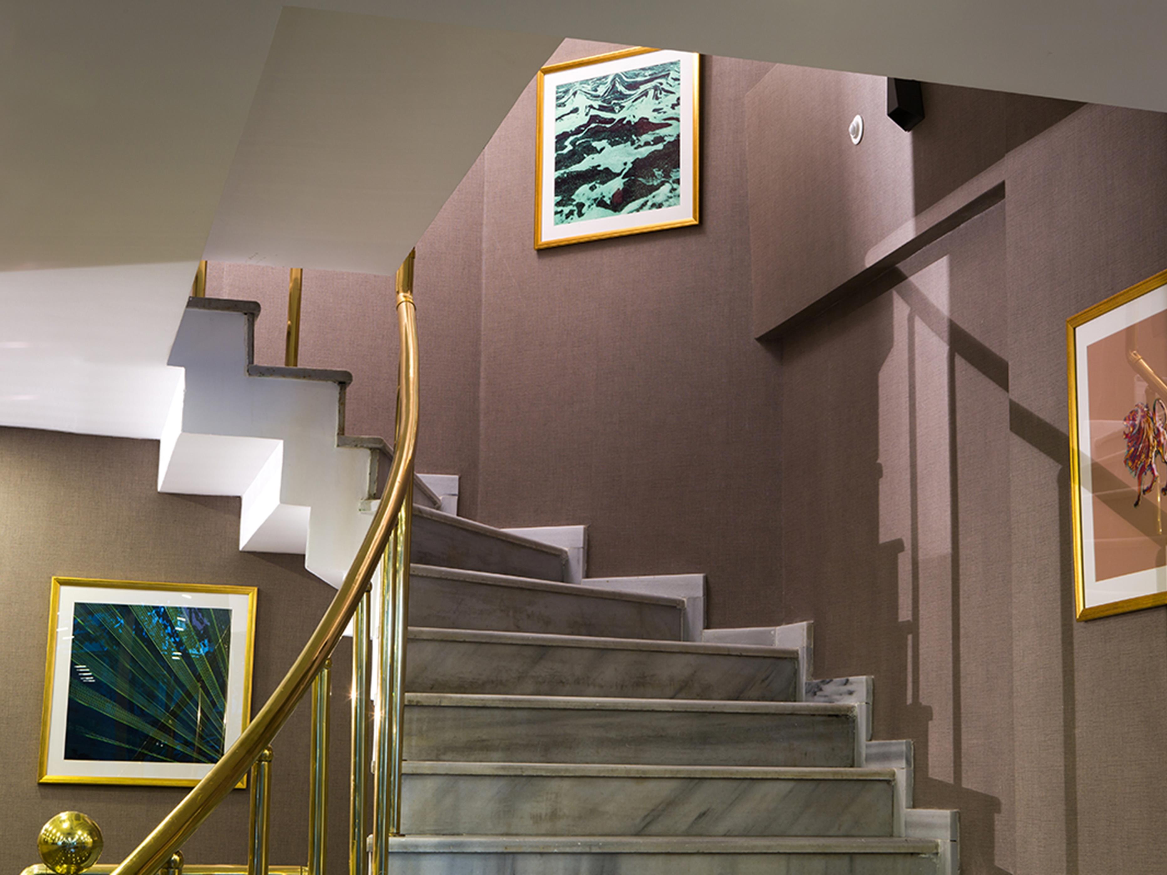 Molton Monapart Mecidiyekoy