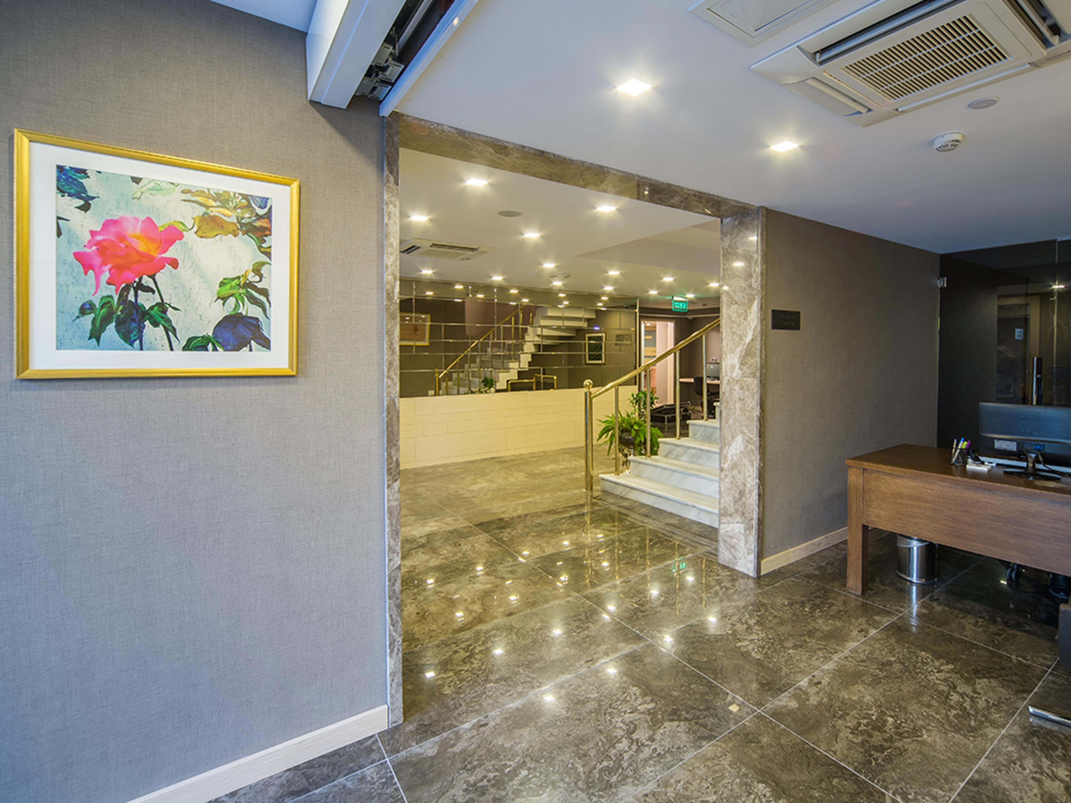 Molton Monapart Mecidiyekoy