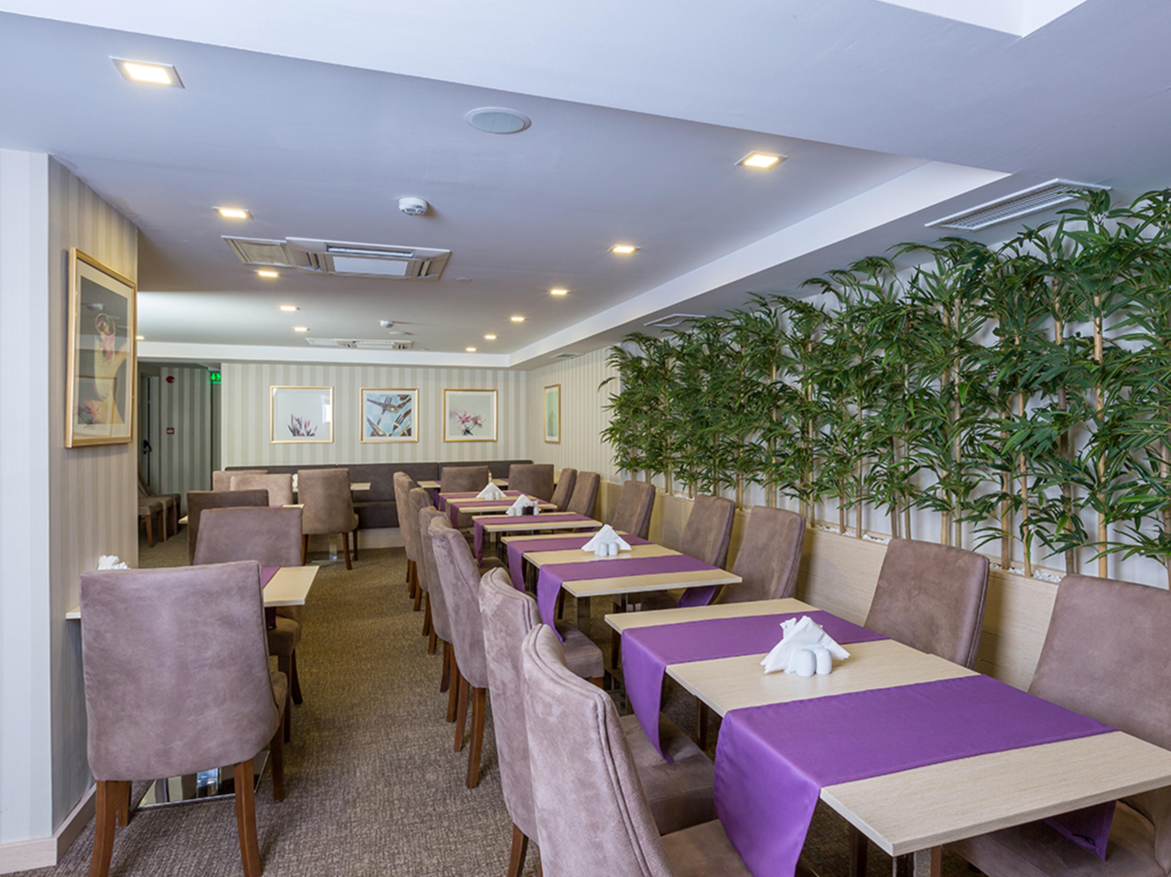 Molton Monapart Mecidiyekoy