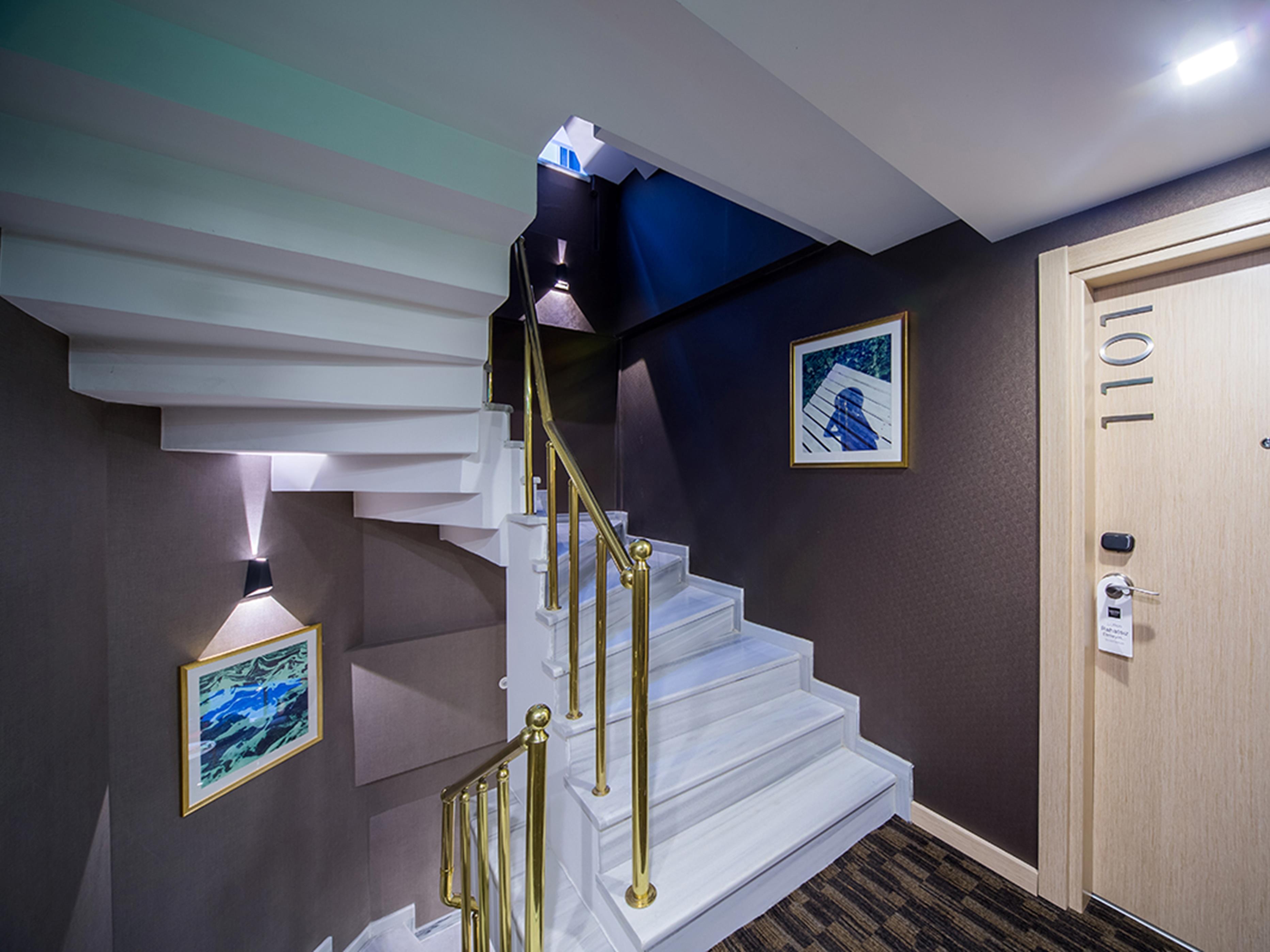 Molton Monapart Mecidiyekoy