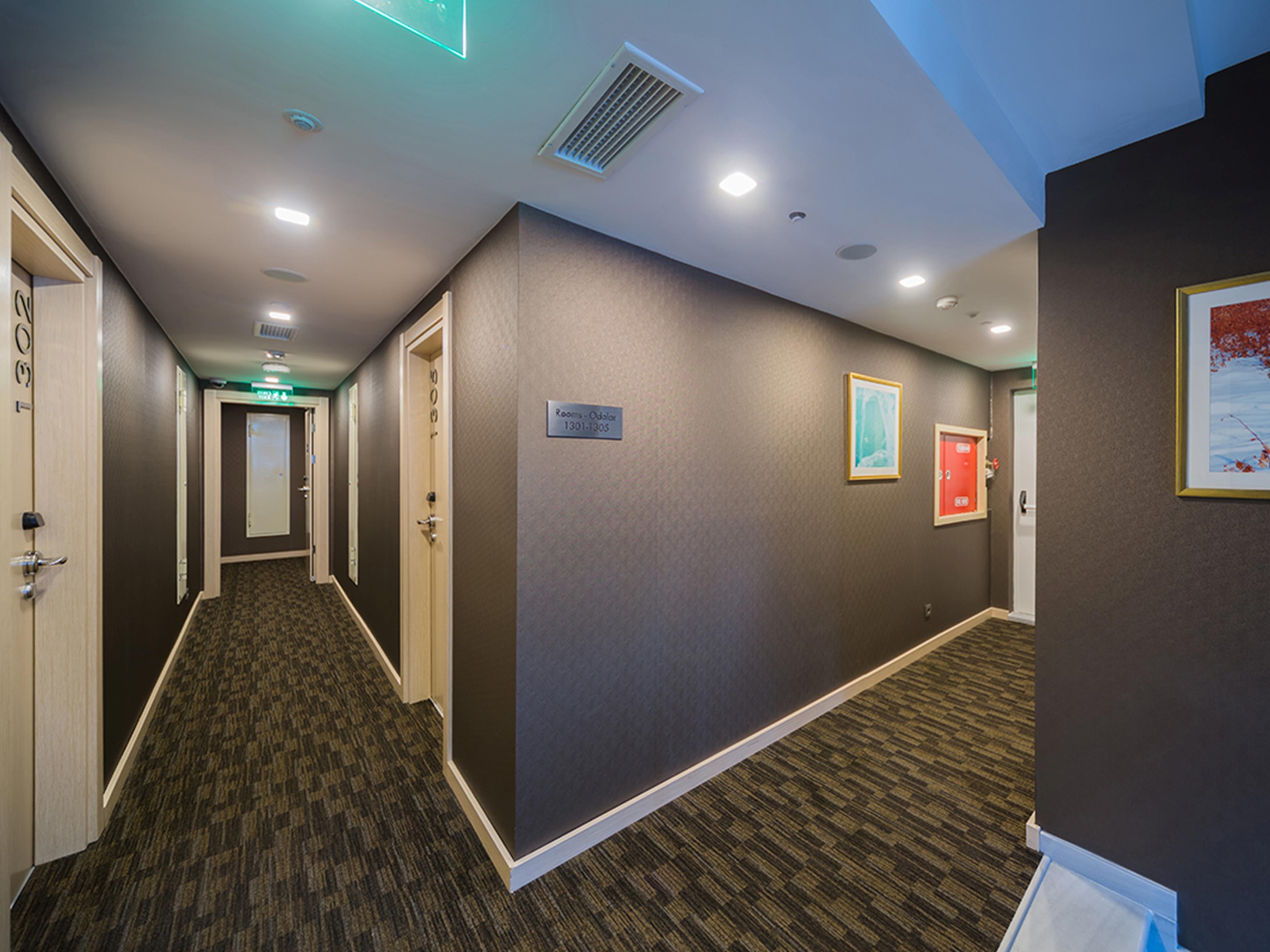 Molton Monapart Mecidiyekoy