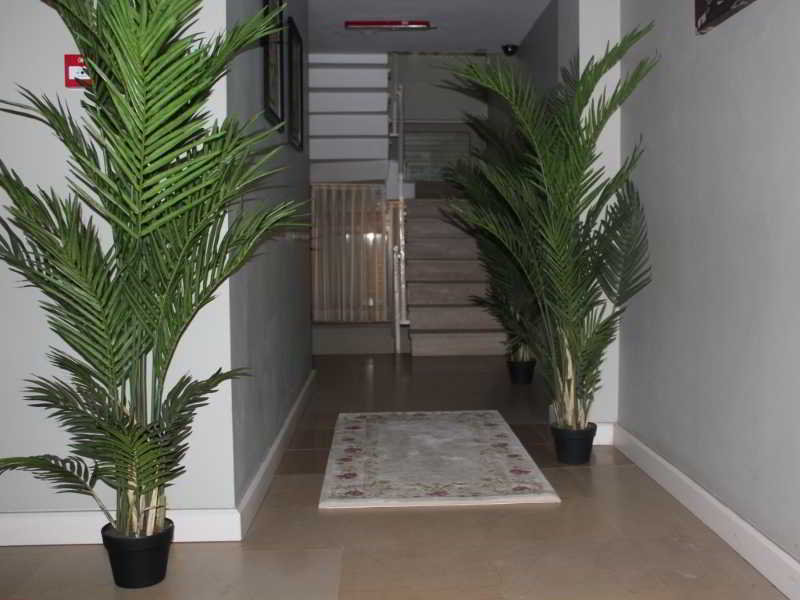 Mono Suites