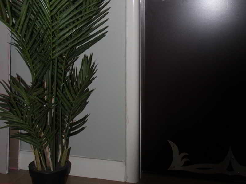 Mono Suites