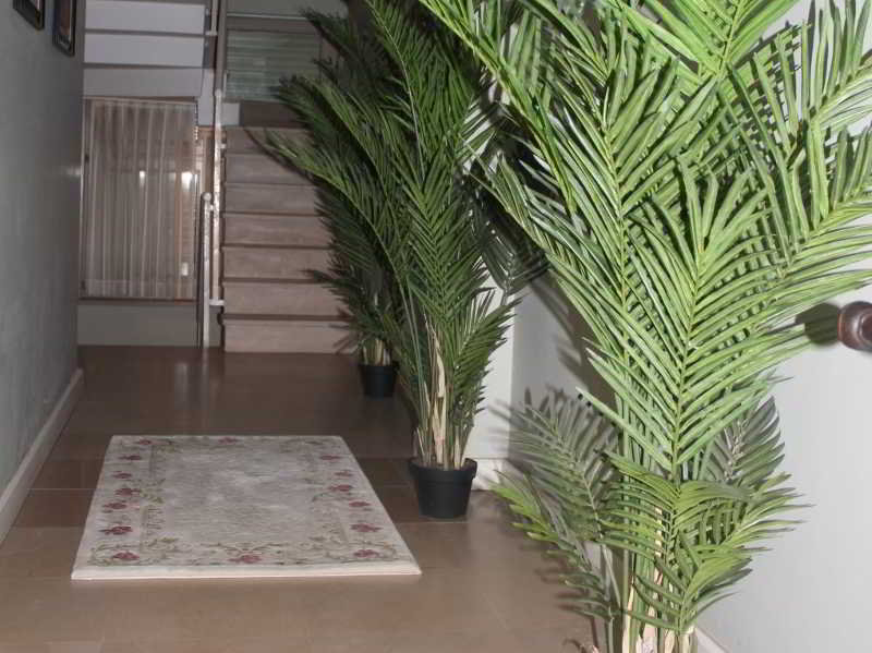 Mono Suites