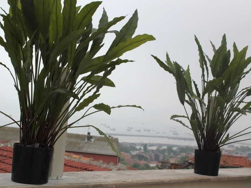 Mono Suites
