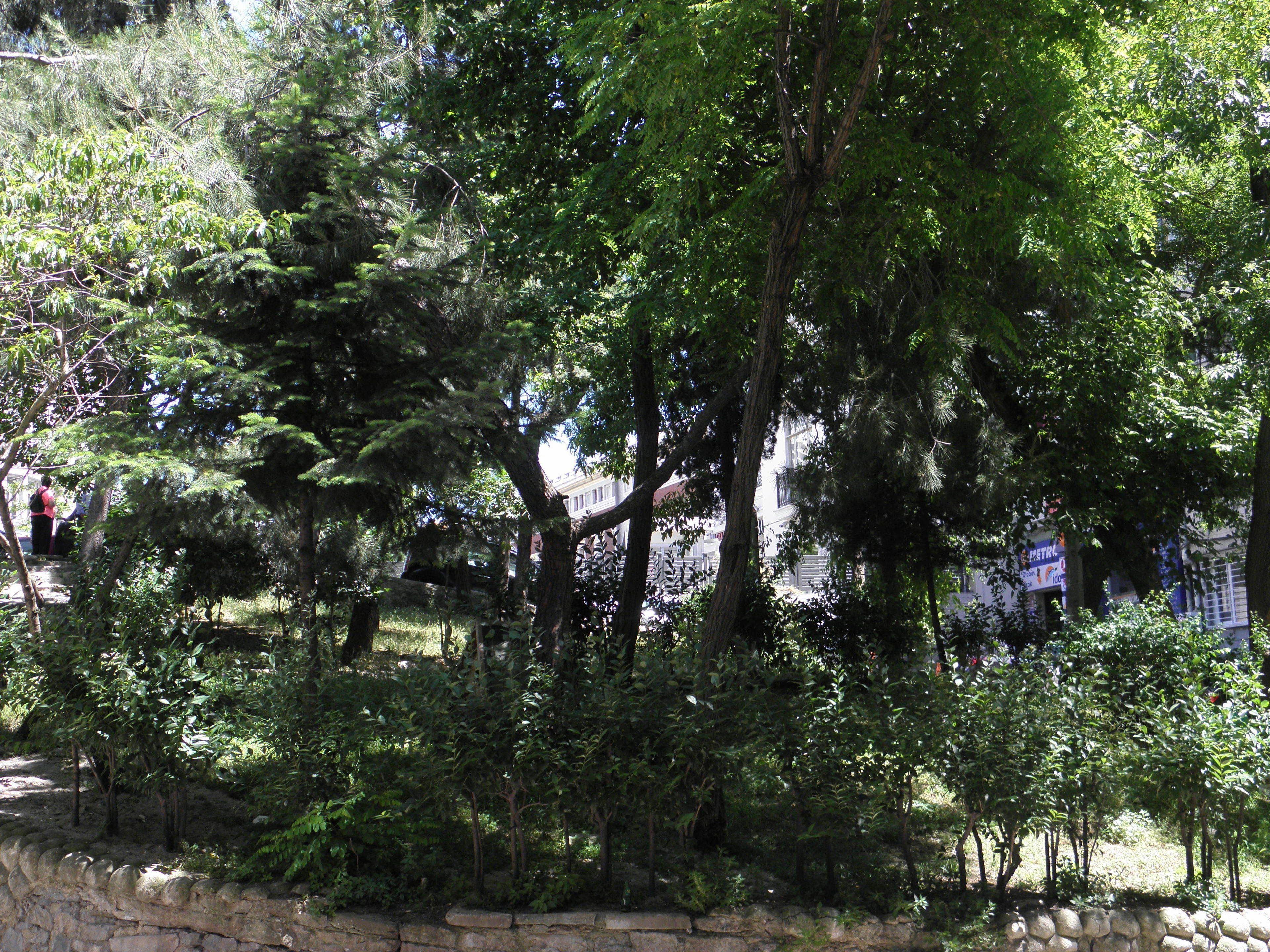 Nuevas Suites