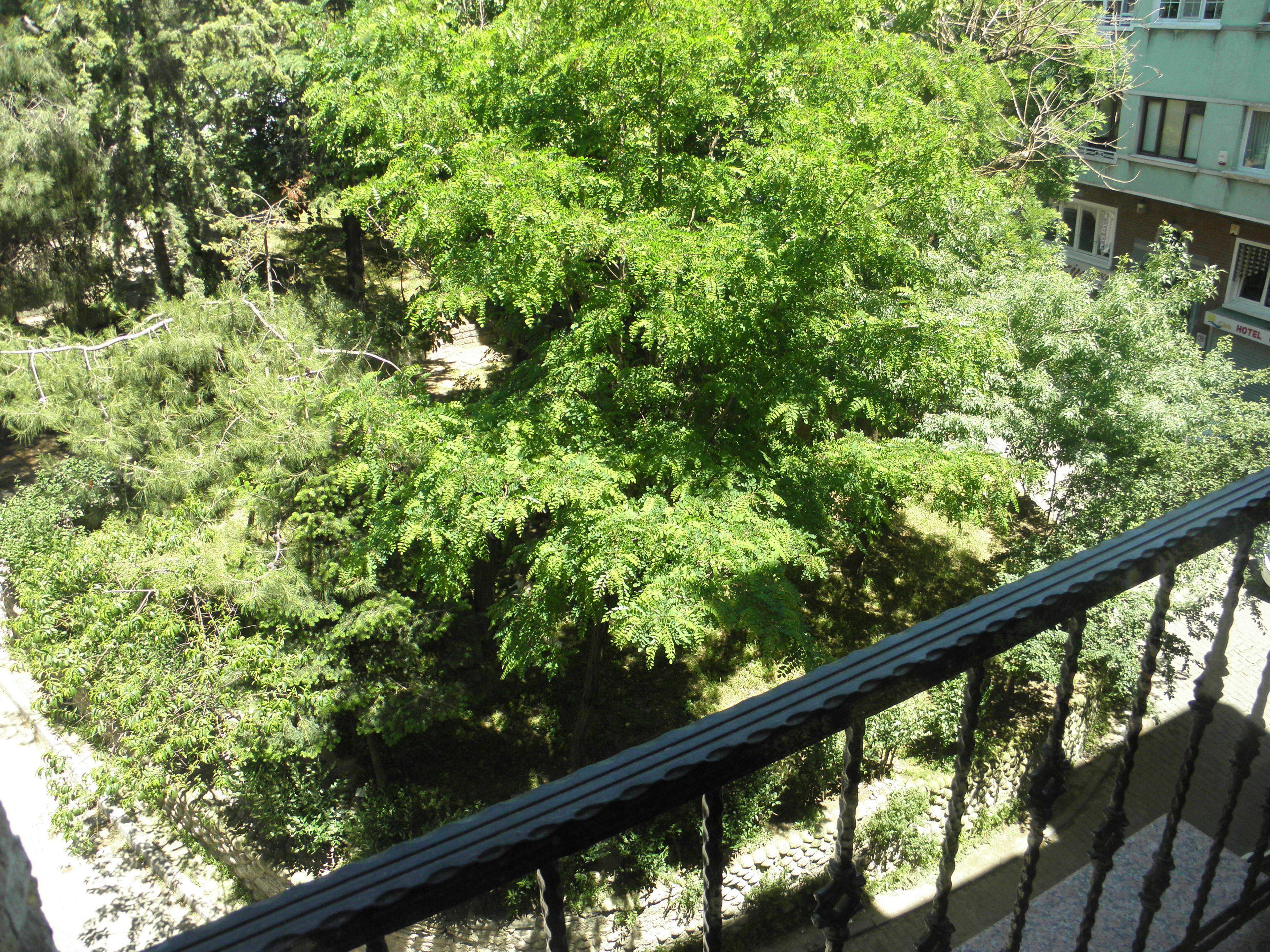 Nuevas Suites