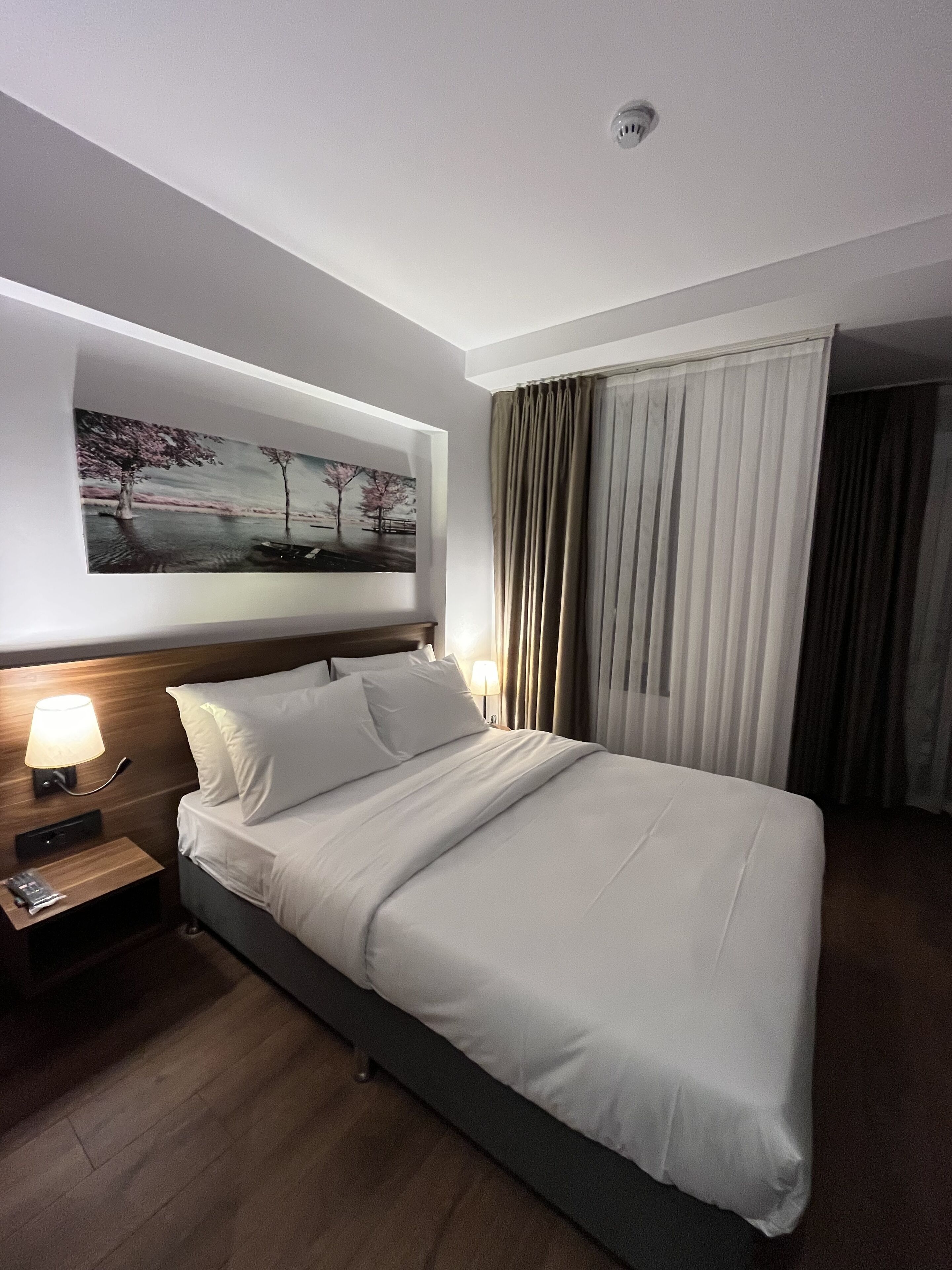 Palmera Hagia Sophia