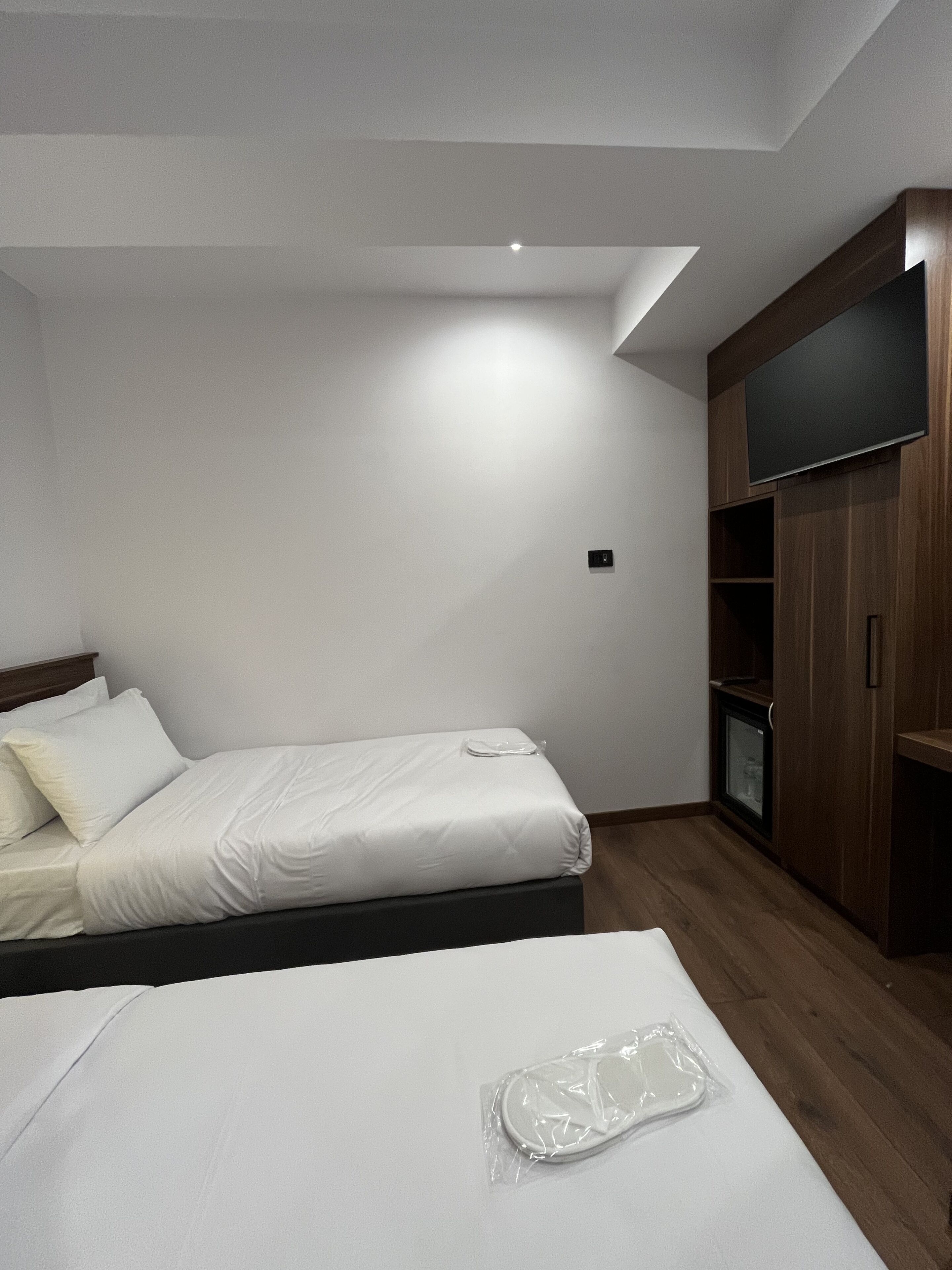 Palmera Hagia Sophia