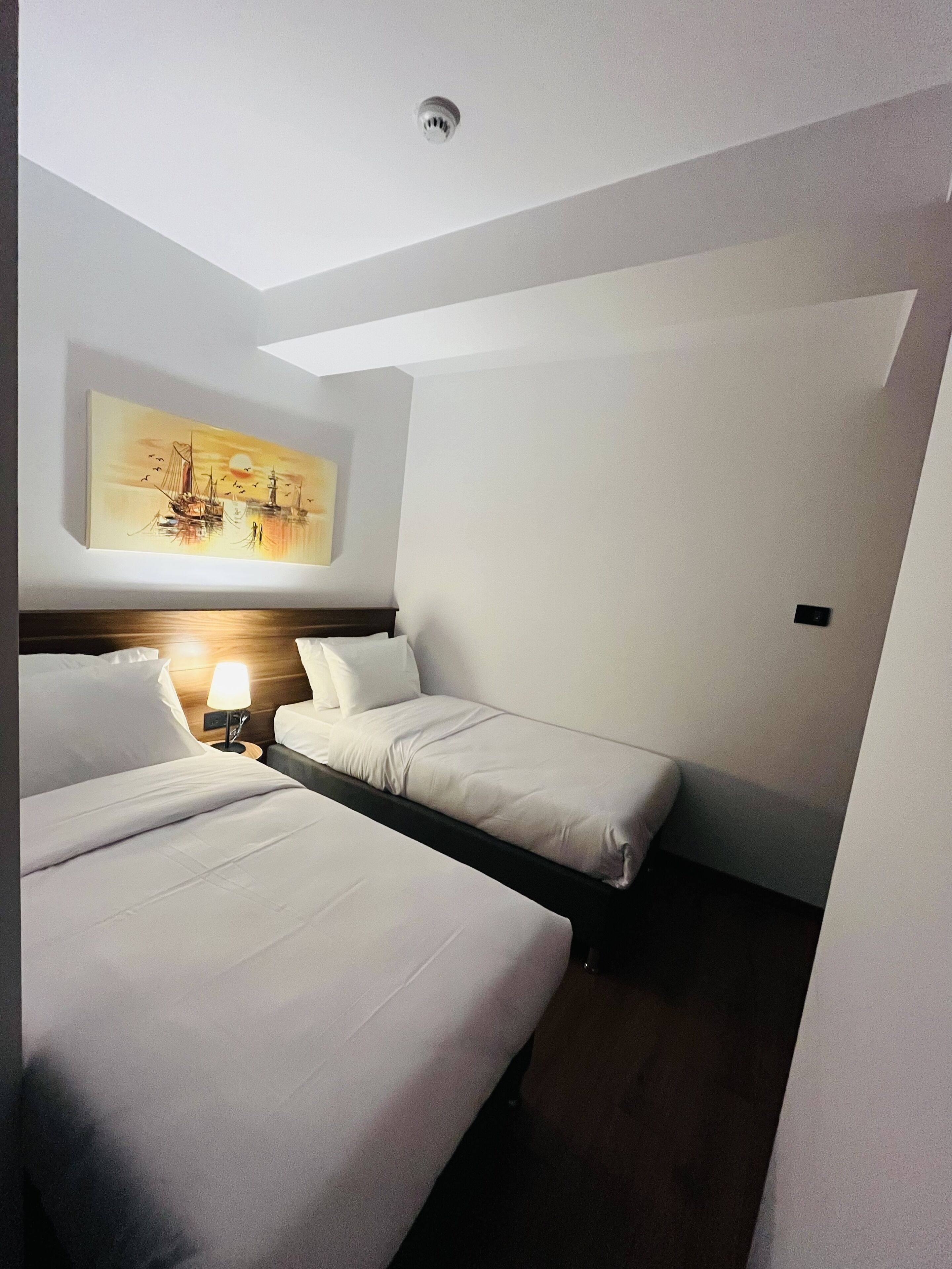 Palmera Hagia Sophia