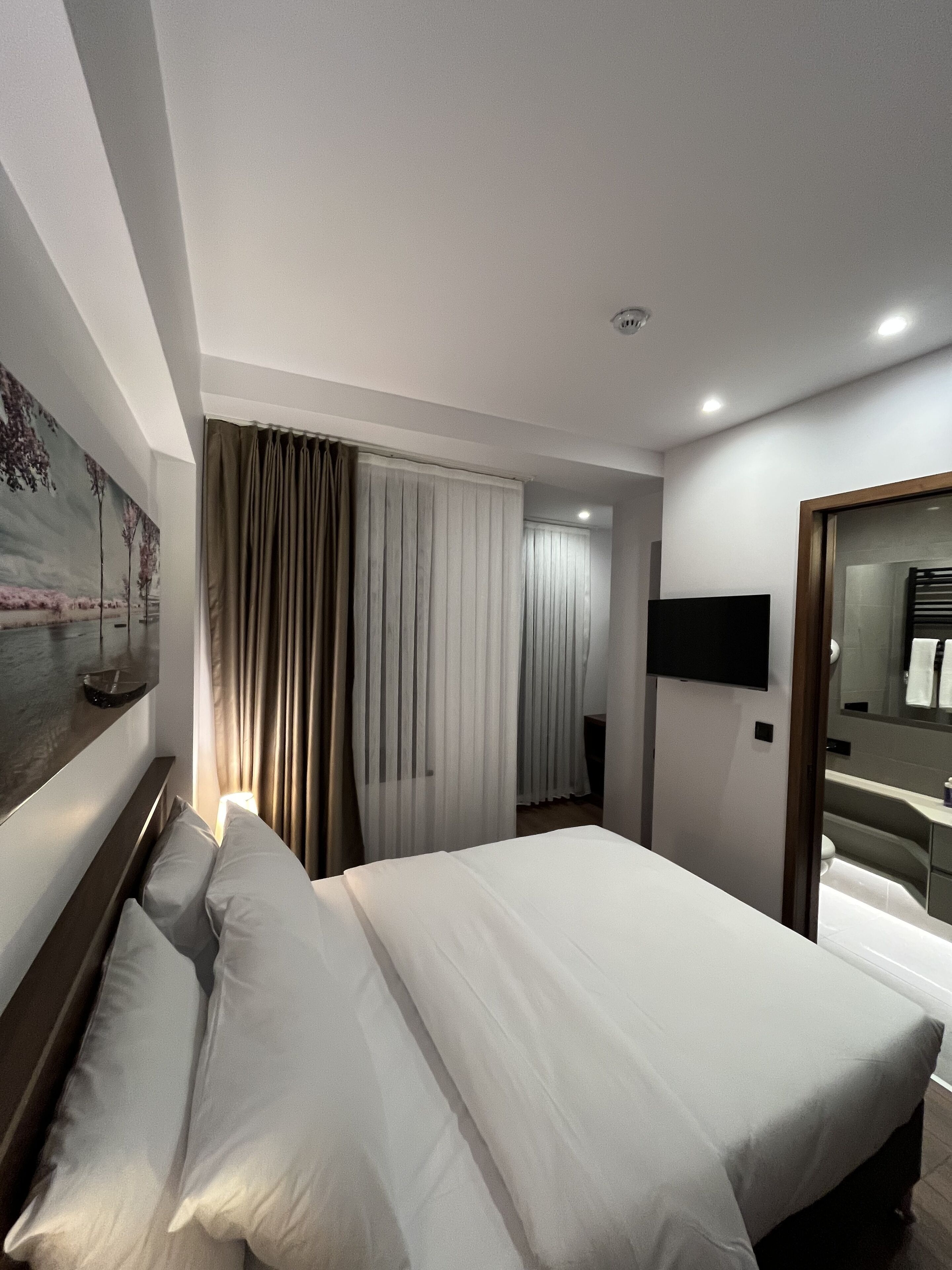 Palmera Hagia Sophia