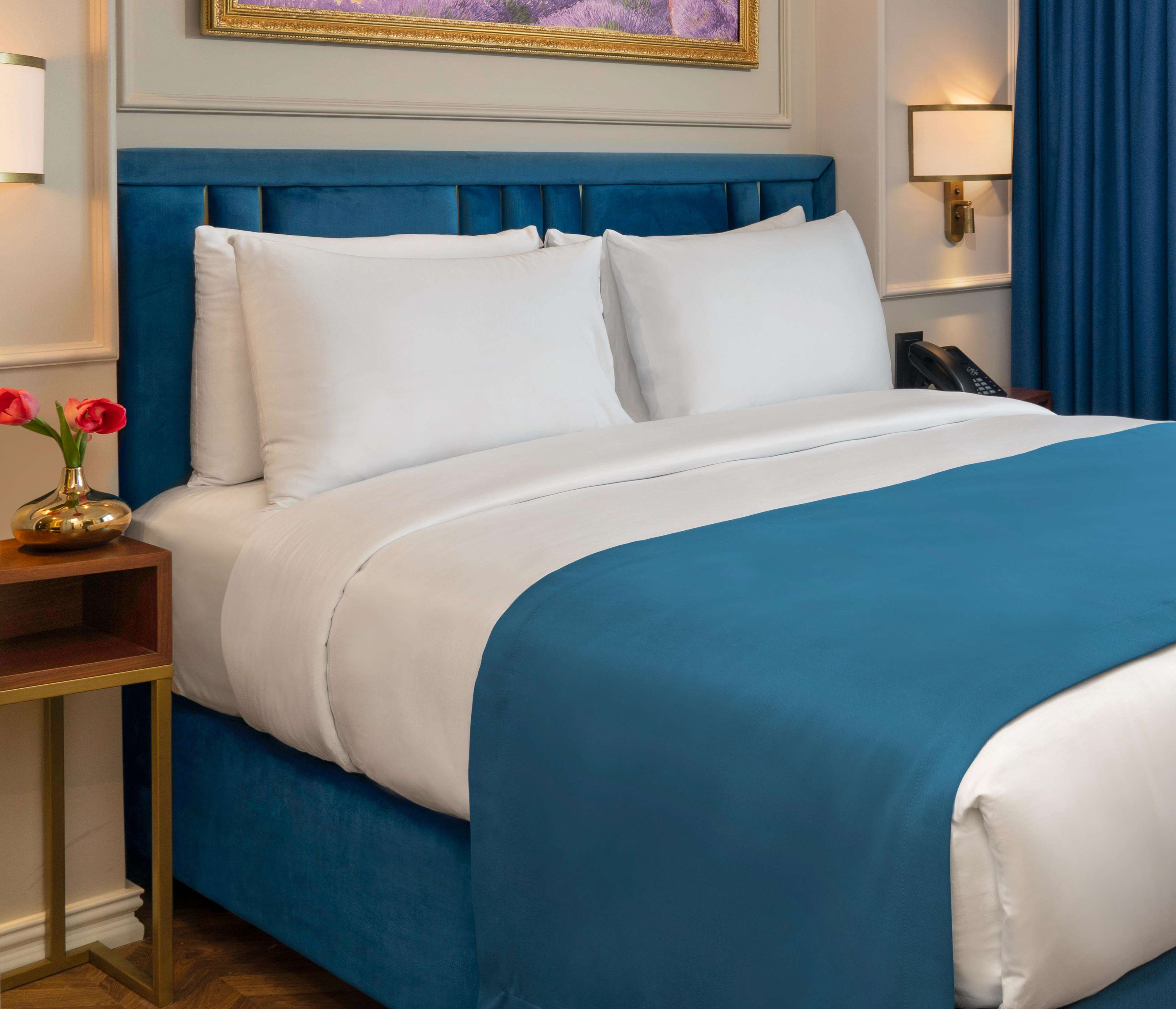 Royan Hotel Hagia Sophia Istanbul, a member of Radisson Individuals