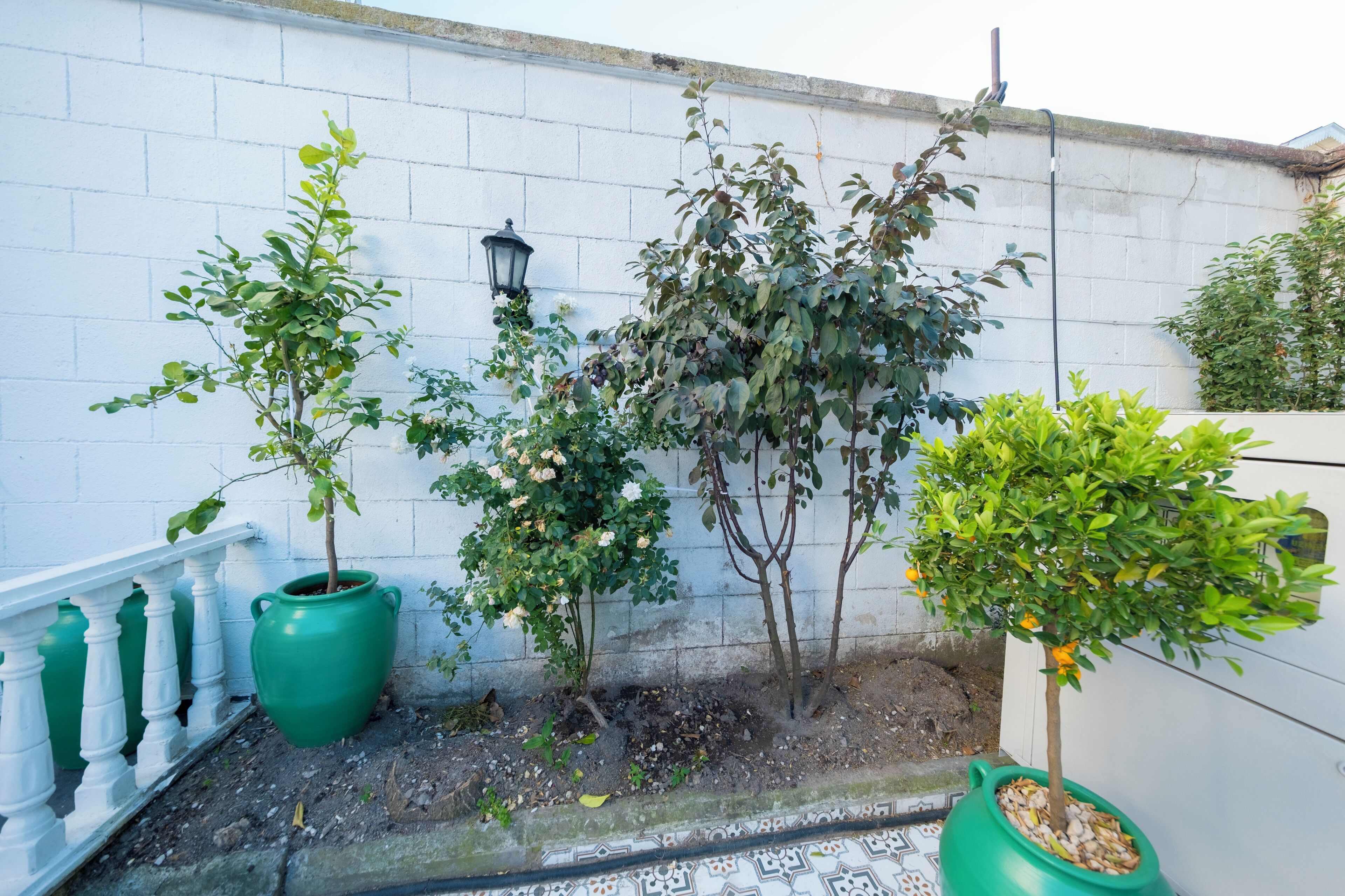 Solomon's Mansion Hotel Istanbul