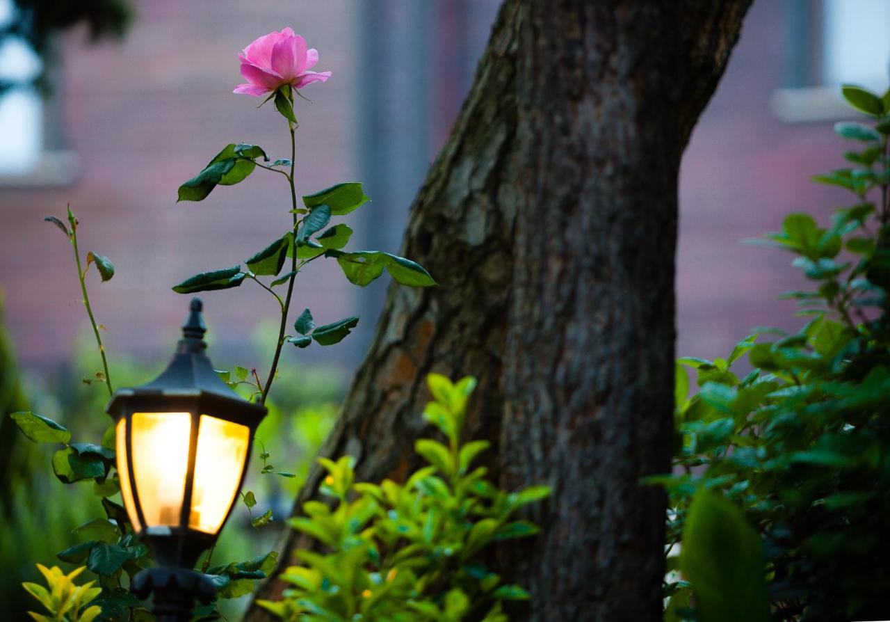 Symbola Bosphorus Hotel  Ortaköy